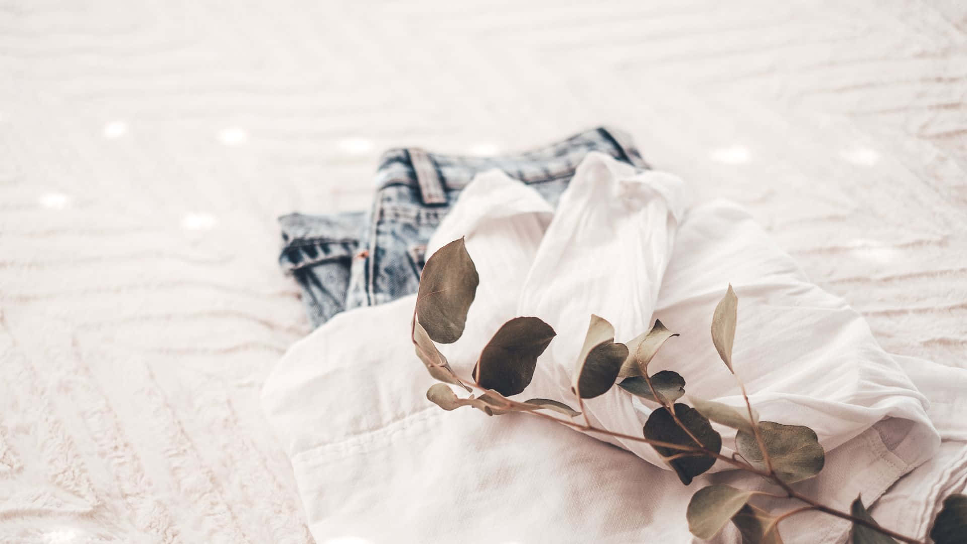 Soft Brown Aesthetic, denim jeans, eucalyptus branches, Full HD Desktop Wallpaper