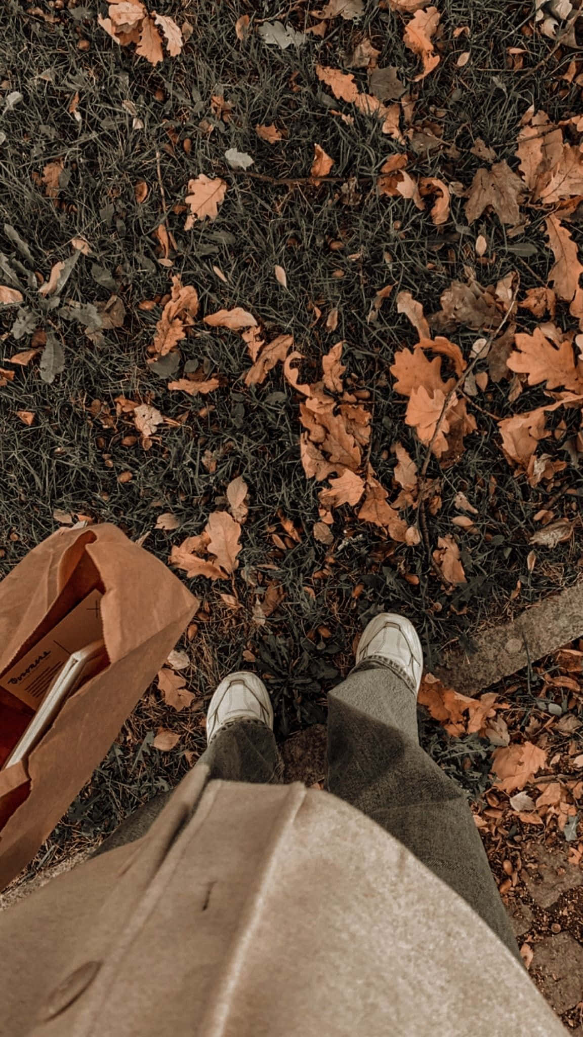 white sneakers, grassy area, autumn leaves, Full HD Phone Wallpaper