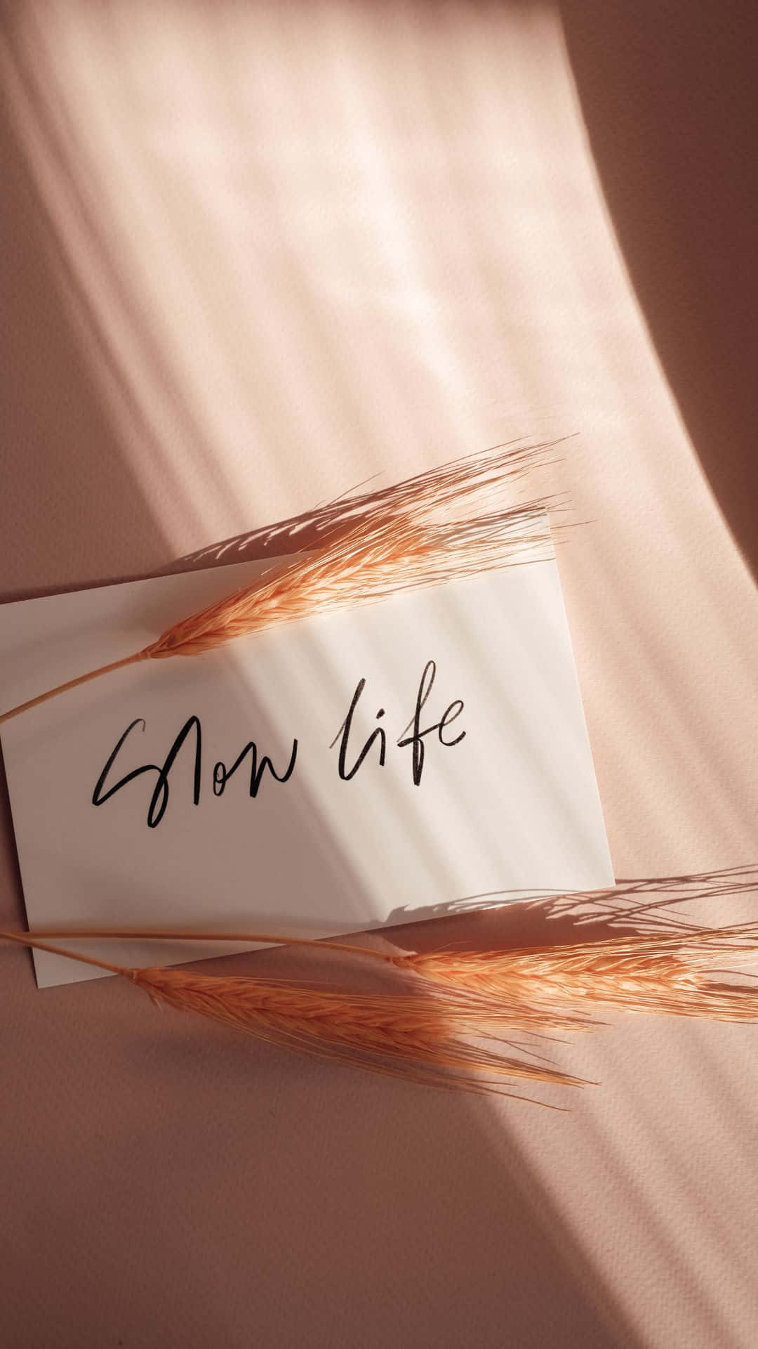 Soft Brown Aesthetic, golden wheat stalks, handwritten note, Full HD Phone Wallpaper