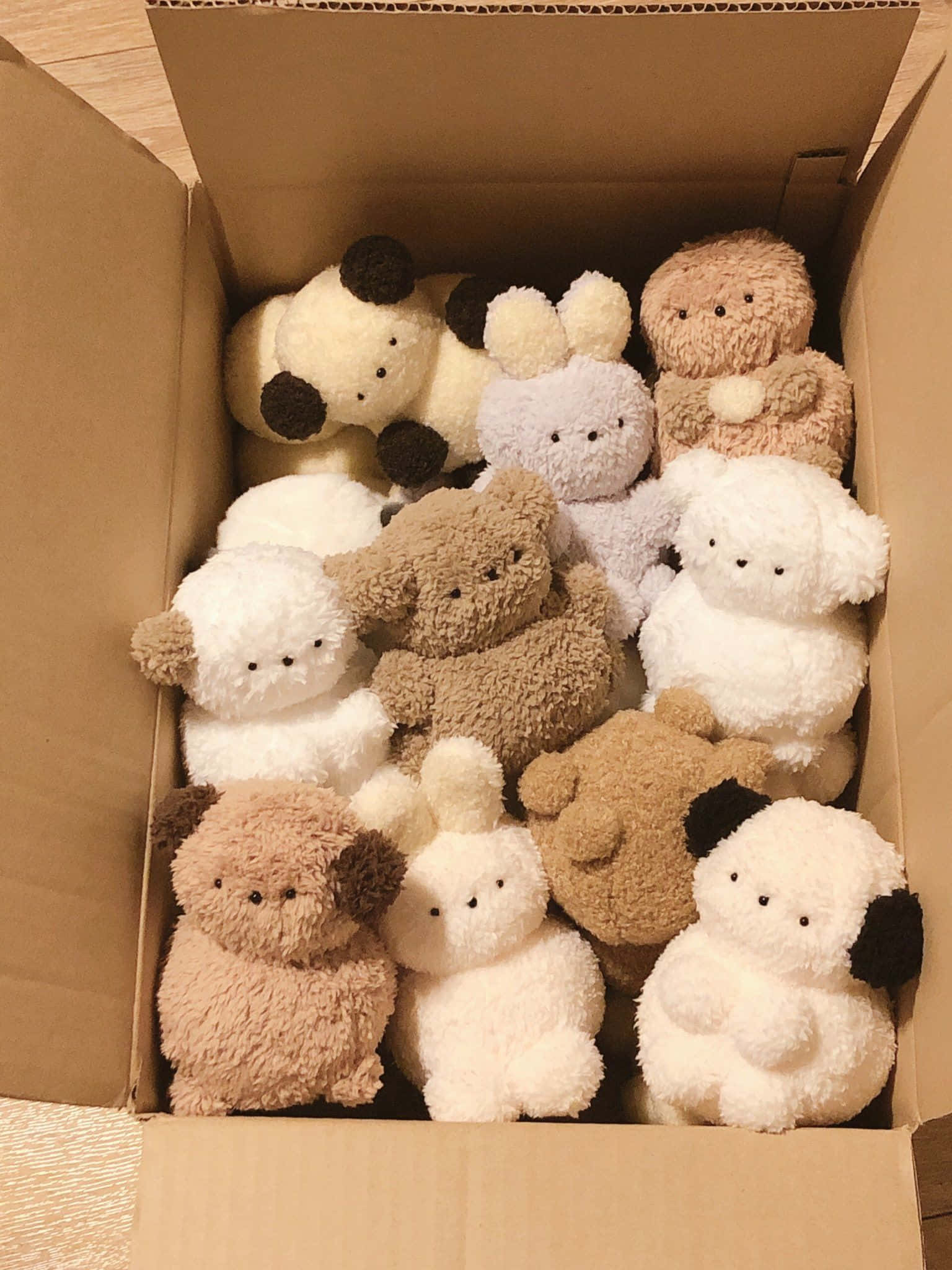 beige, white, plush animals, Full HD Phone Wallpaper