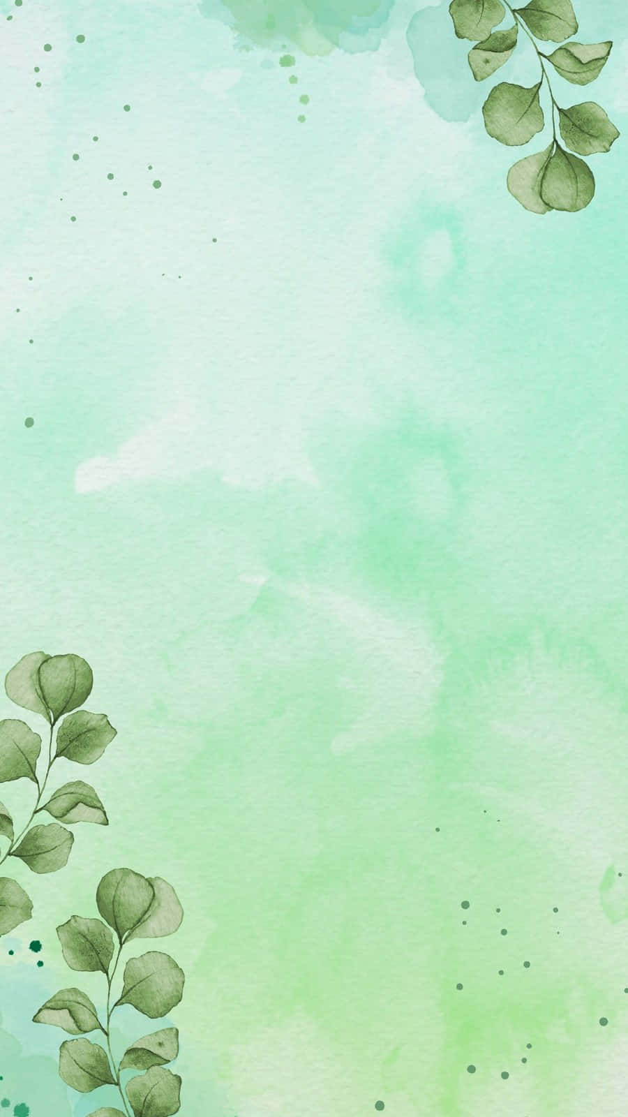 minimalist green watercolor background, soft mint green, delicate eucalyptus branches, HD Phone Wallpaper