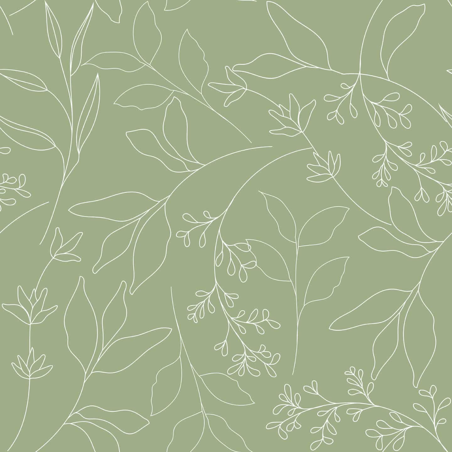 soft sage green background, elegant white line drawings, leaves, HD Desktop Wallpaper