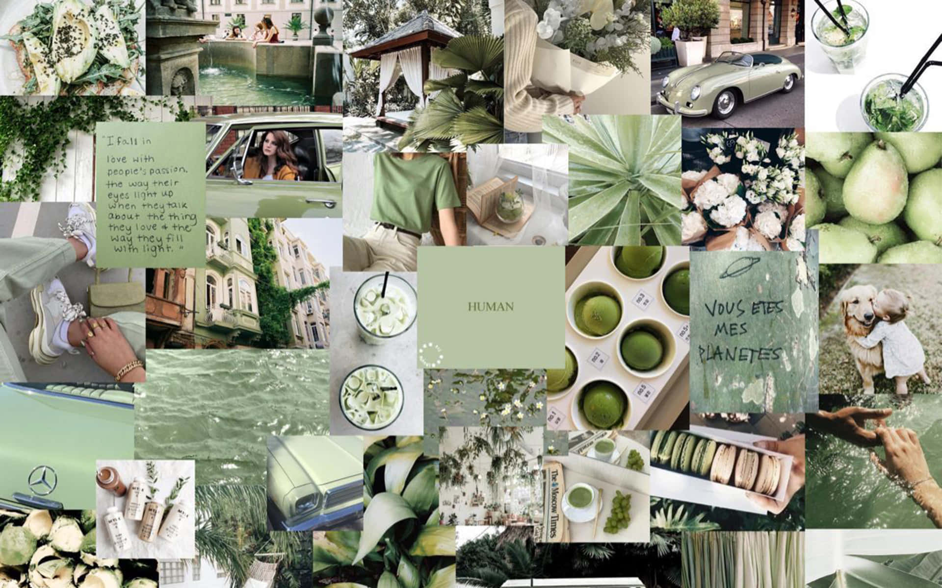 Soft Green Aesthetic, vintage cars, tropical plants, Full HD Desktop Wallpaper
