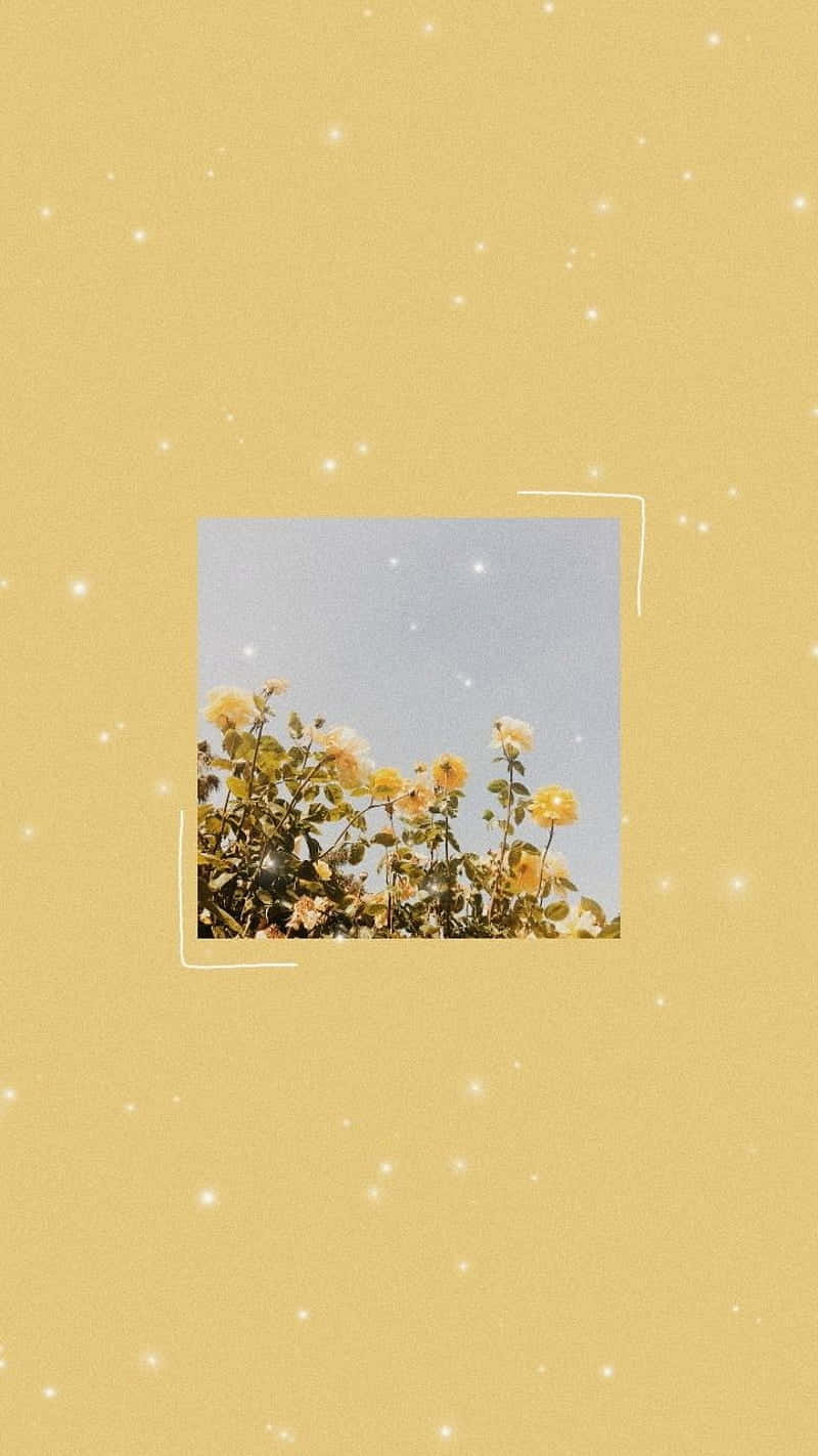 yellow roses, pale blue sky, textured golden background, HD Phone Wallpaper