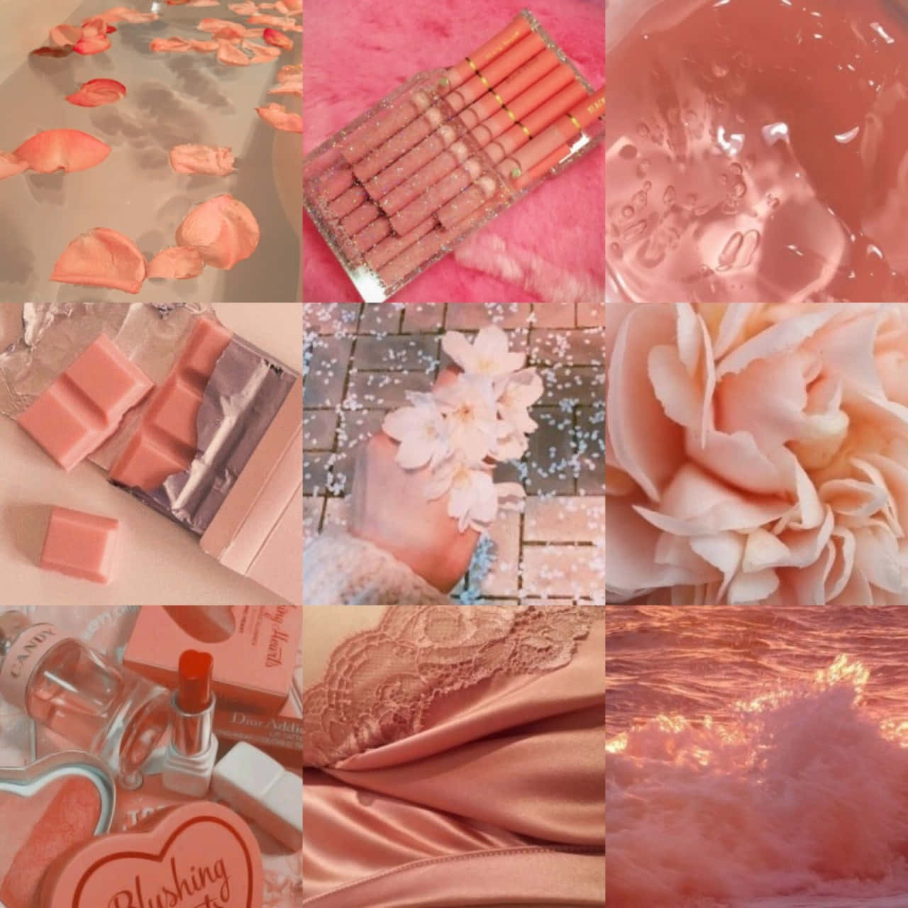 Soft Pink Aesthetic, rose petals, water droplets, HD Desktop Wallpaper