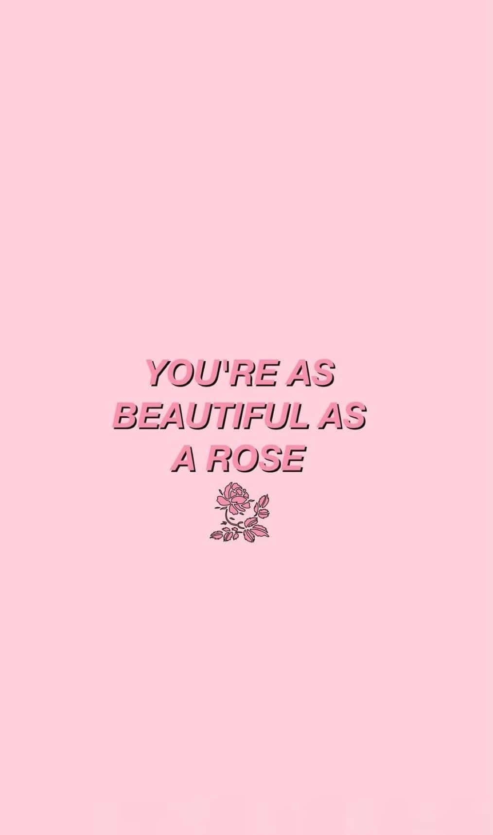 Soft Pink, rose, pink background, HD Phone Wallpaper