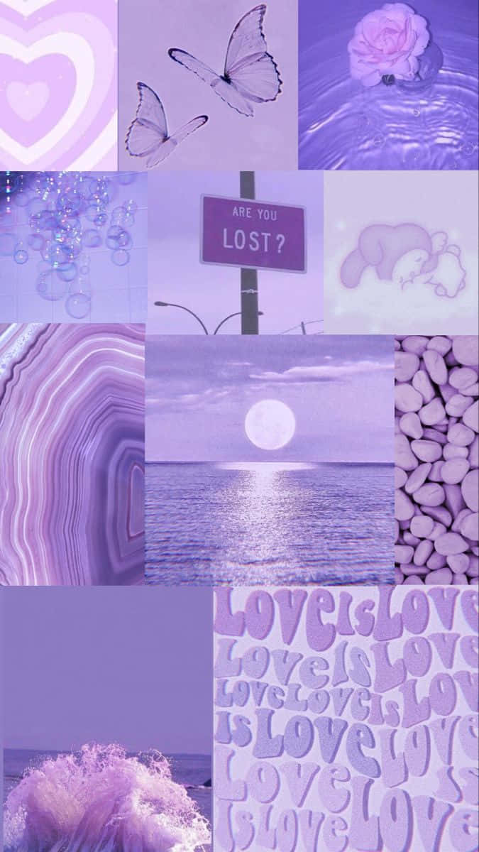 Soft Purple Aesthetic, butterflies, roses, SD Phone Wallpaper