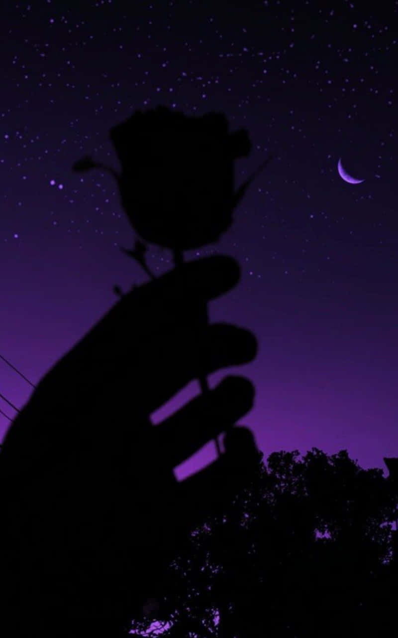 rose silhouette, starry purple night sky, crescent moon, HD Phone Wallpaper
