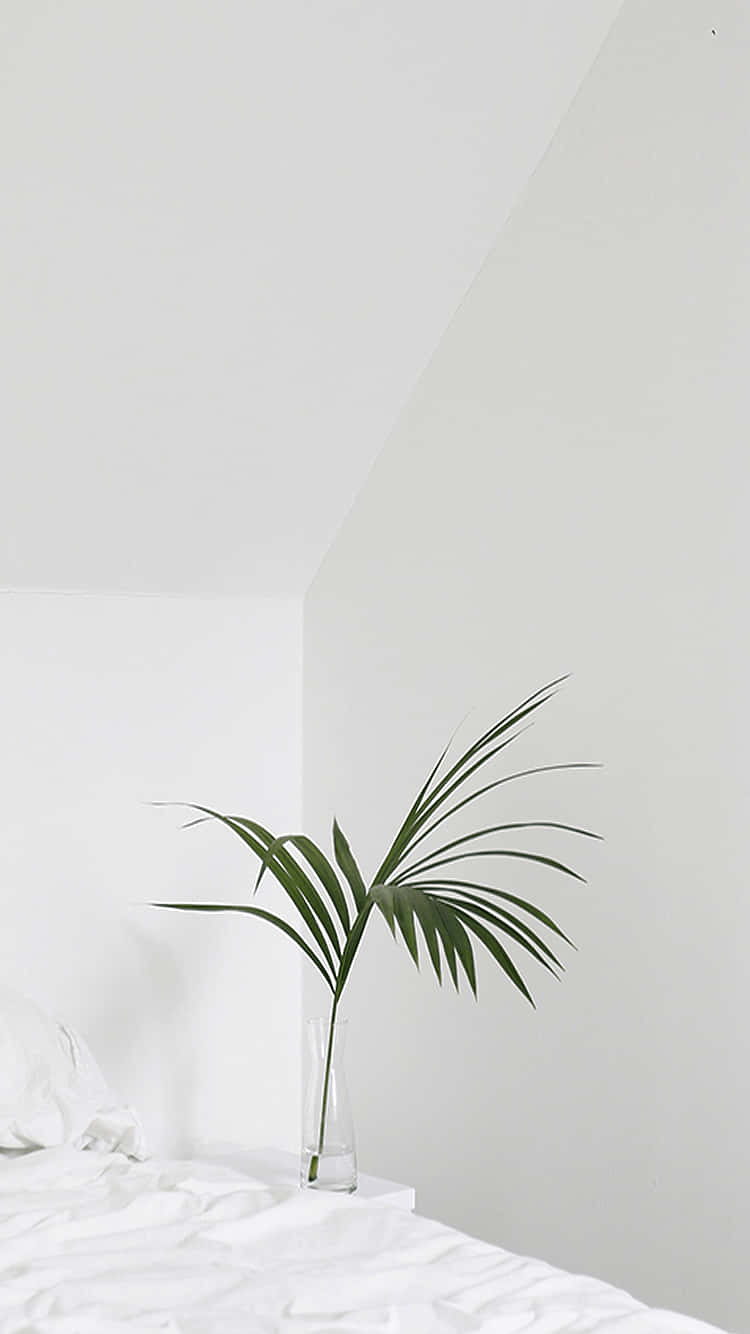 Soft White Aesthetic, green palm frond, clear glass vase, HD Phone Wallpaper