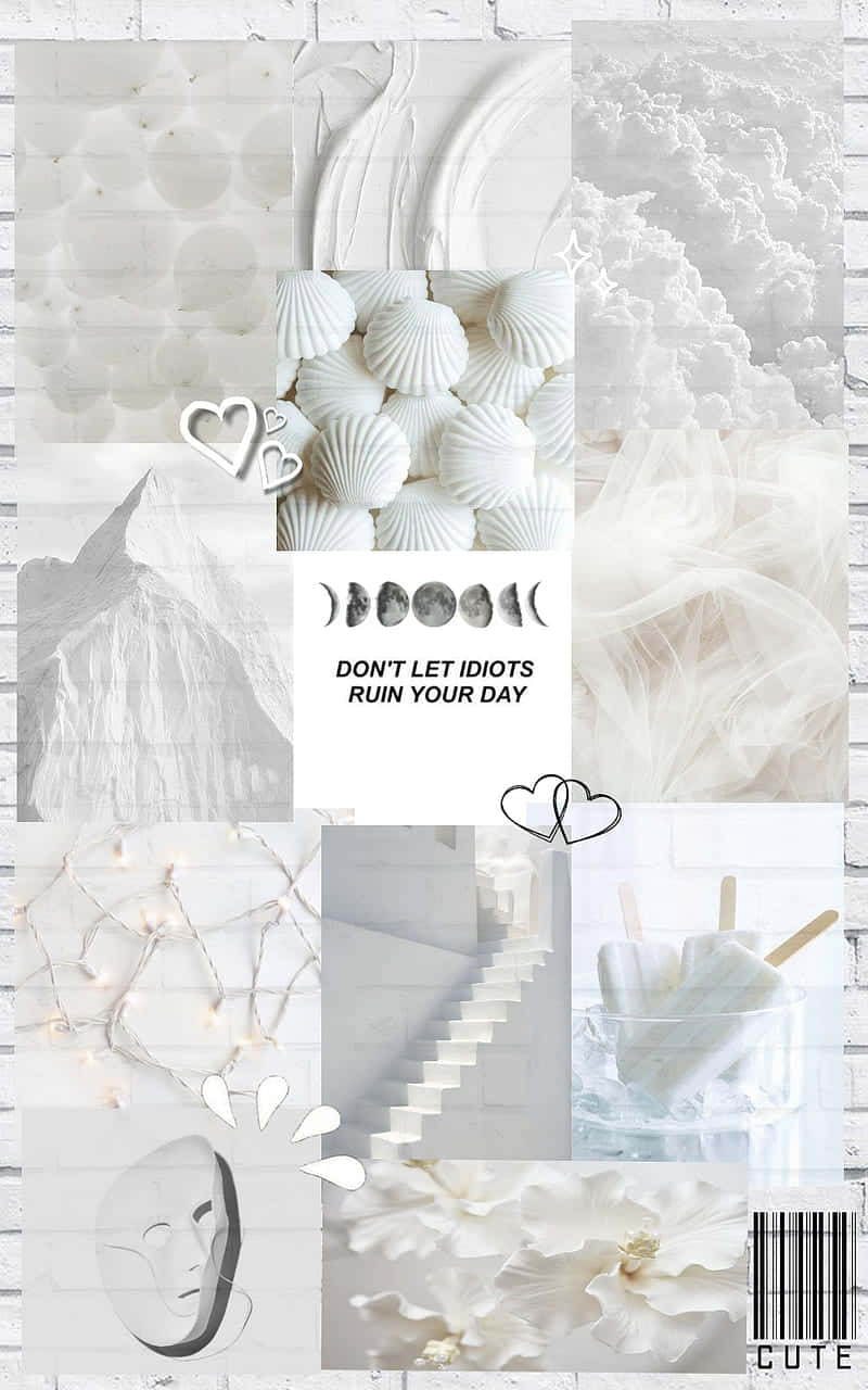 Soft White Aesthetic, white seashells, moon phases, HD Phone Wallpaper