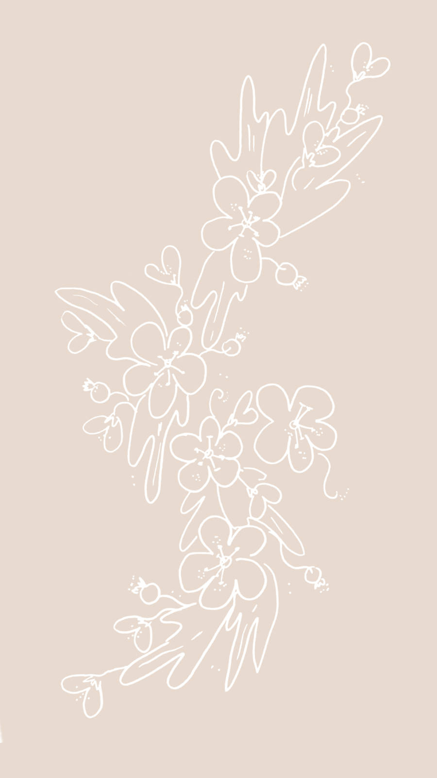 white line art, blooming flowers, leaves, HD Phone Wallpaper