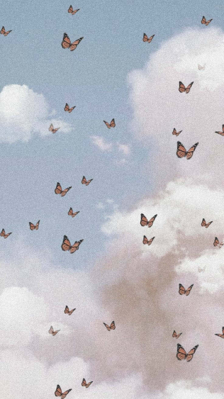 Monarch butterflies, soft pastel clouds, serene sky, HD Phone Wallpaper
