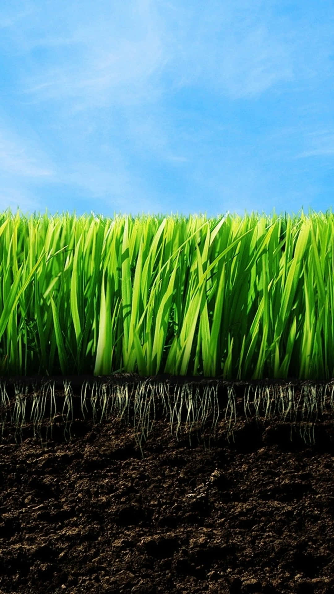 green grass, roots, rich soil, Full HD Phone Wallpaper