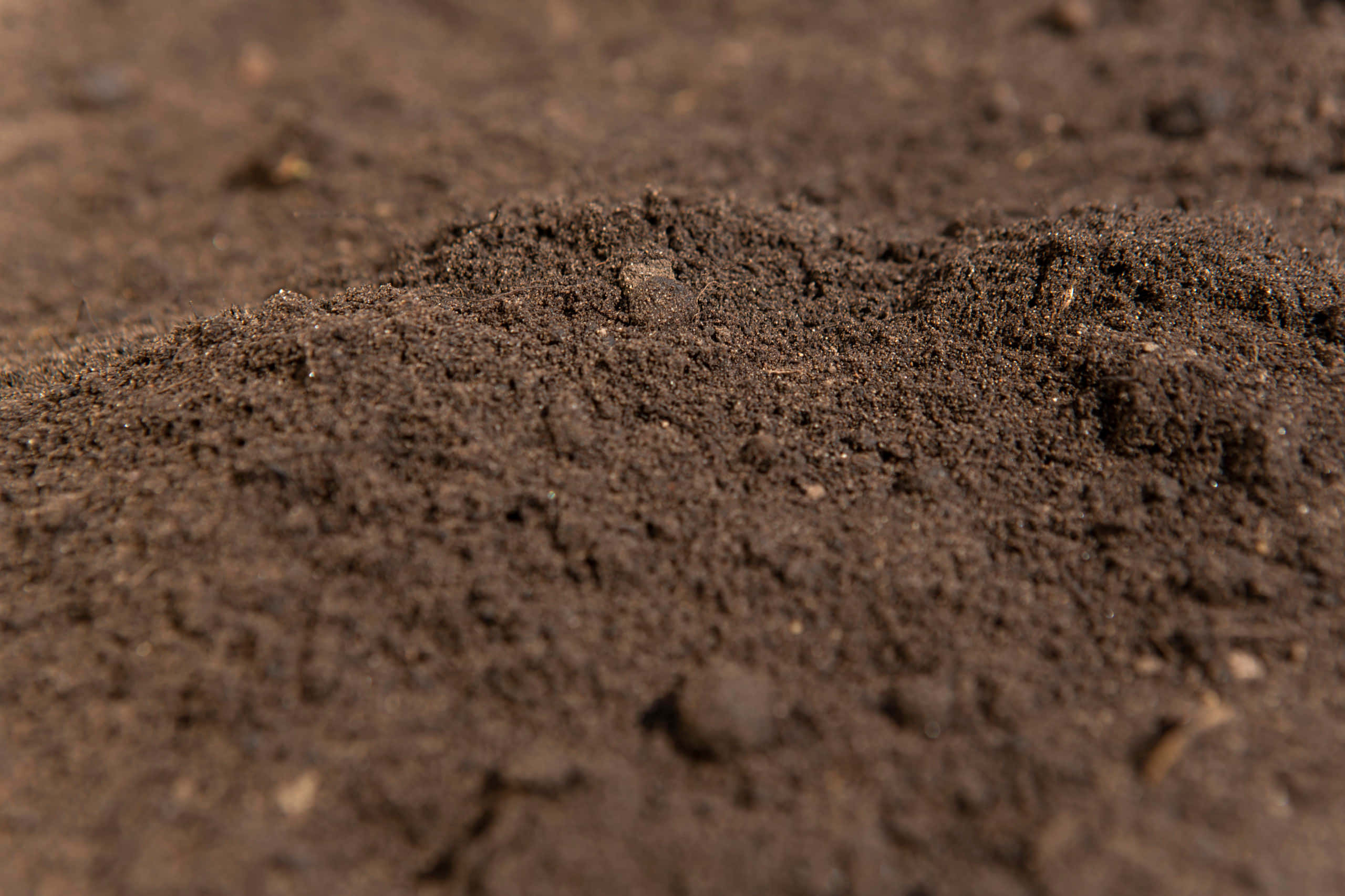 fine organic soil, dark brown soil, fine textured particles, 2K Desktop Wallpaper