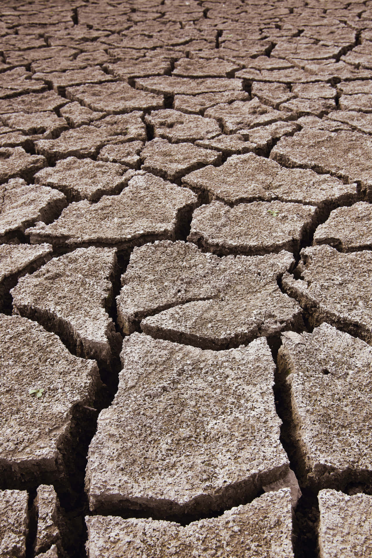 brown crack soil, parched earth, deep cracks, Full HD Phone Wallpaper