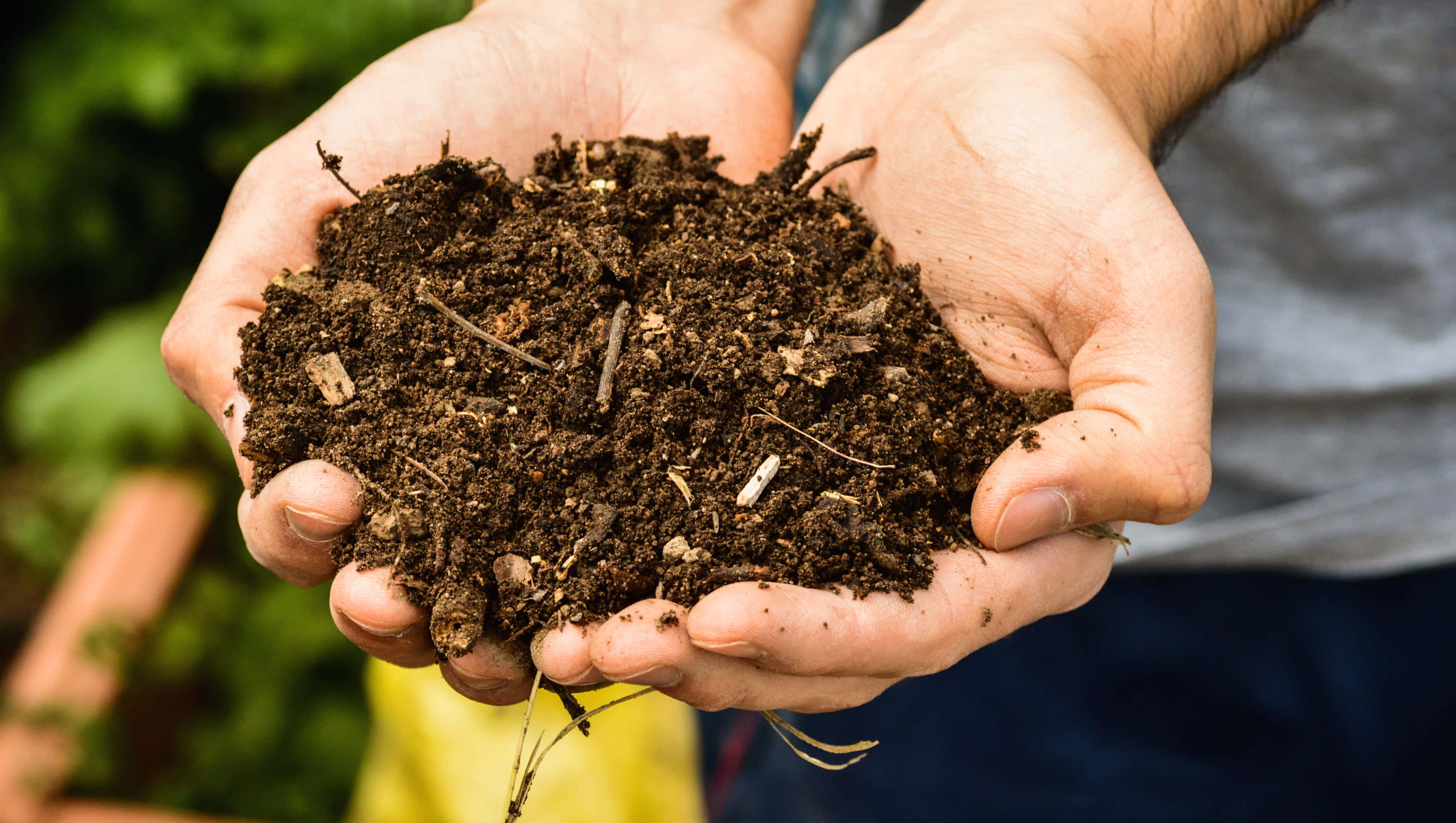 brown soil, cupped hands, rich dark soil, 4K Desktop Wallpaper