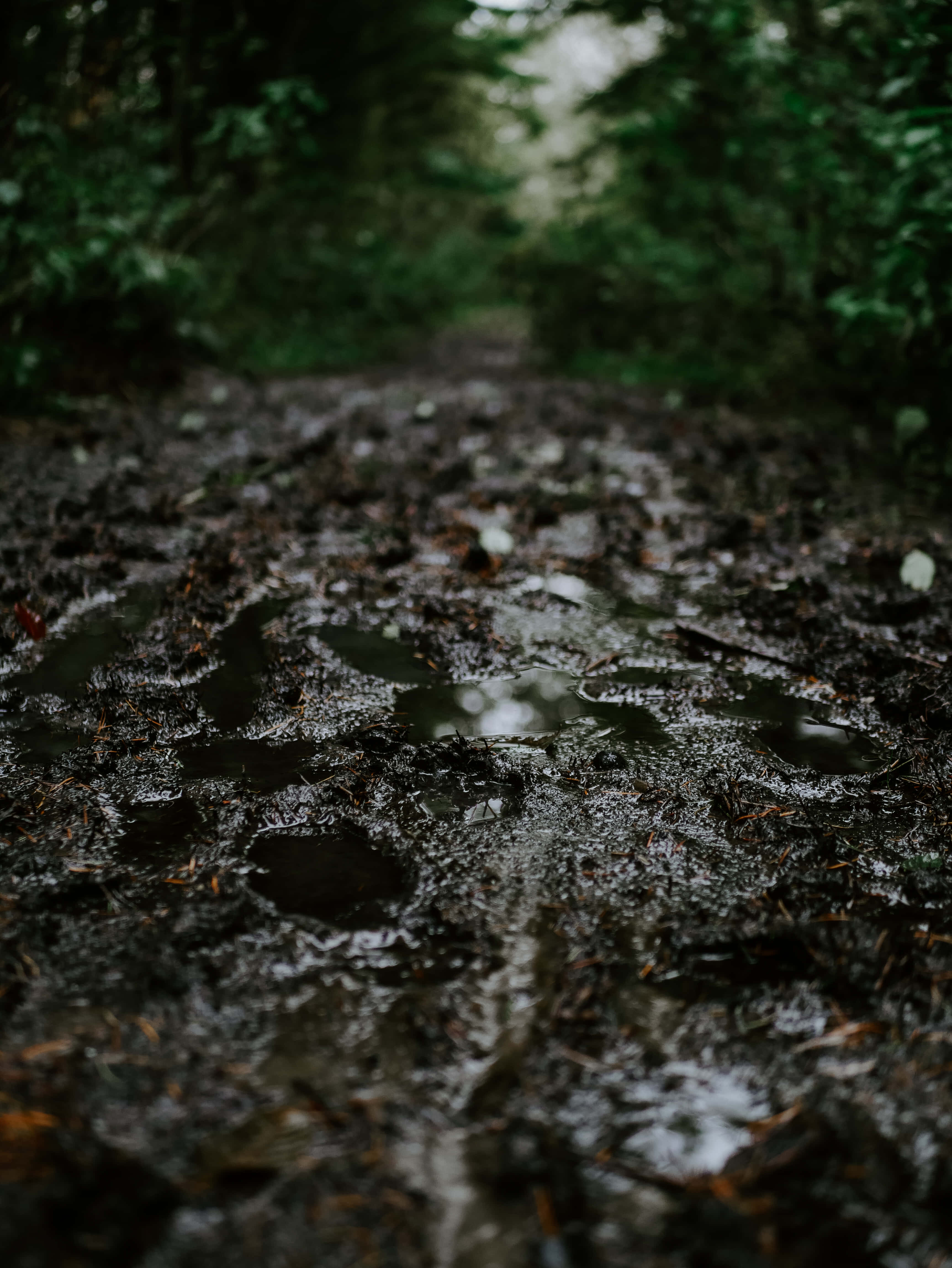 mud puddle, rain, dirty road, 4K Phone Wallpaper