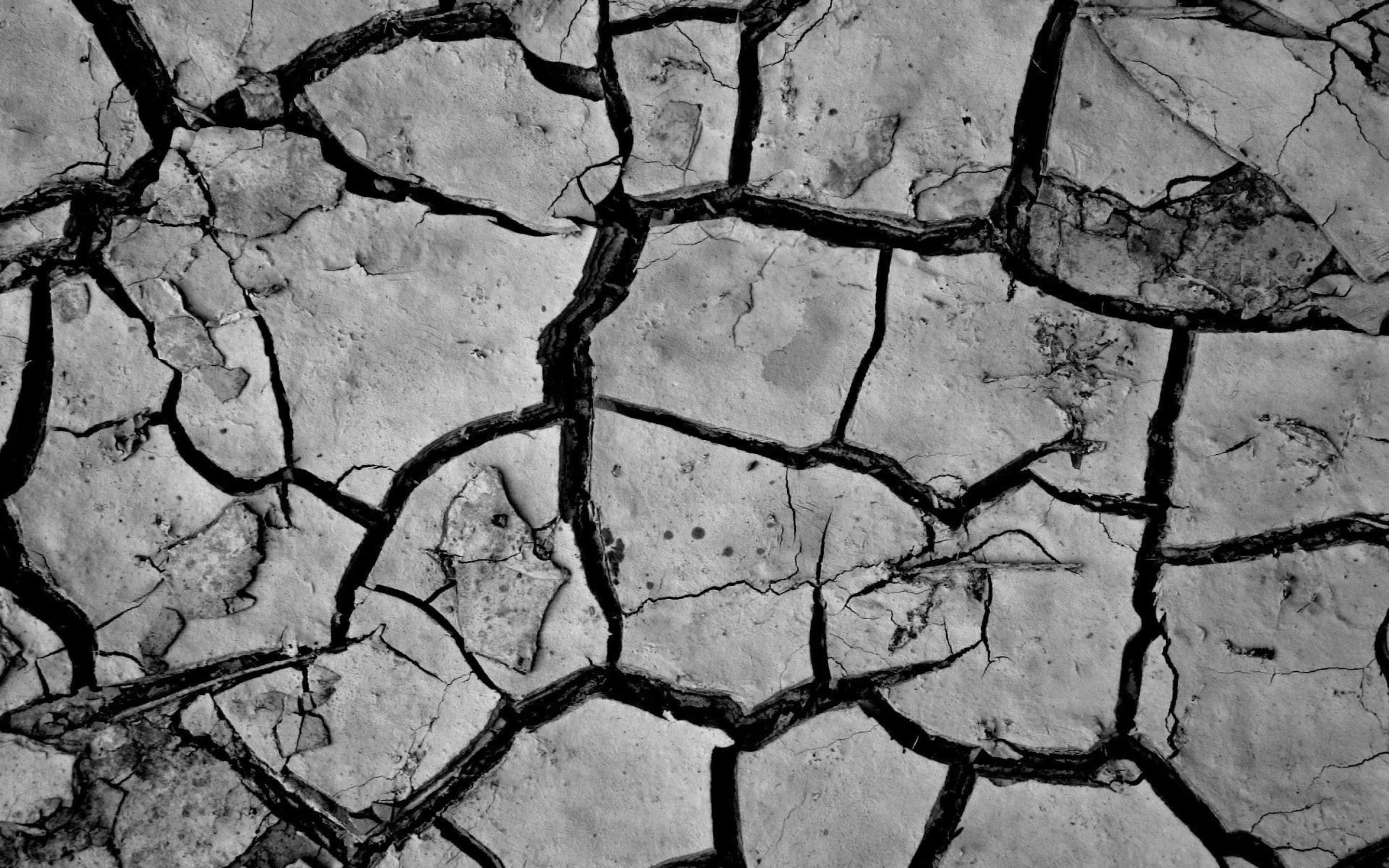 cracked earth, irregular polygonal patterns, deep fissures, 2K Desktop Wallpaper