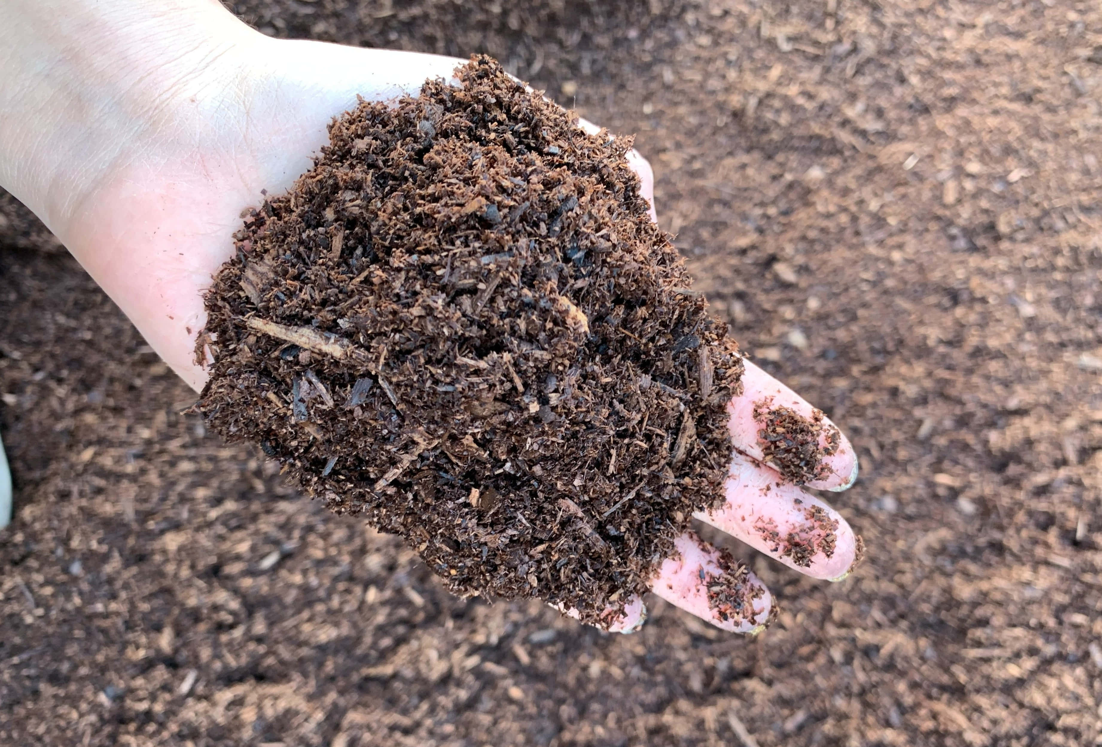 hand, pile of soil, rich dark brown mulch, 2K Desktop Wallpaper