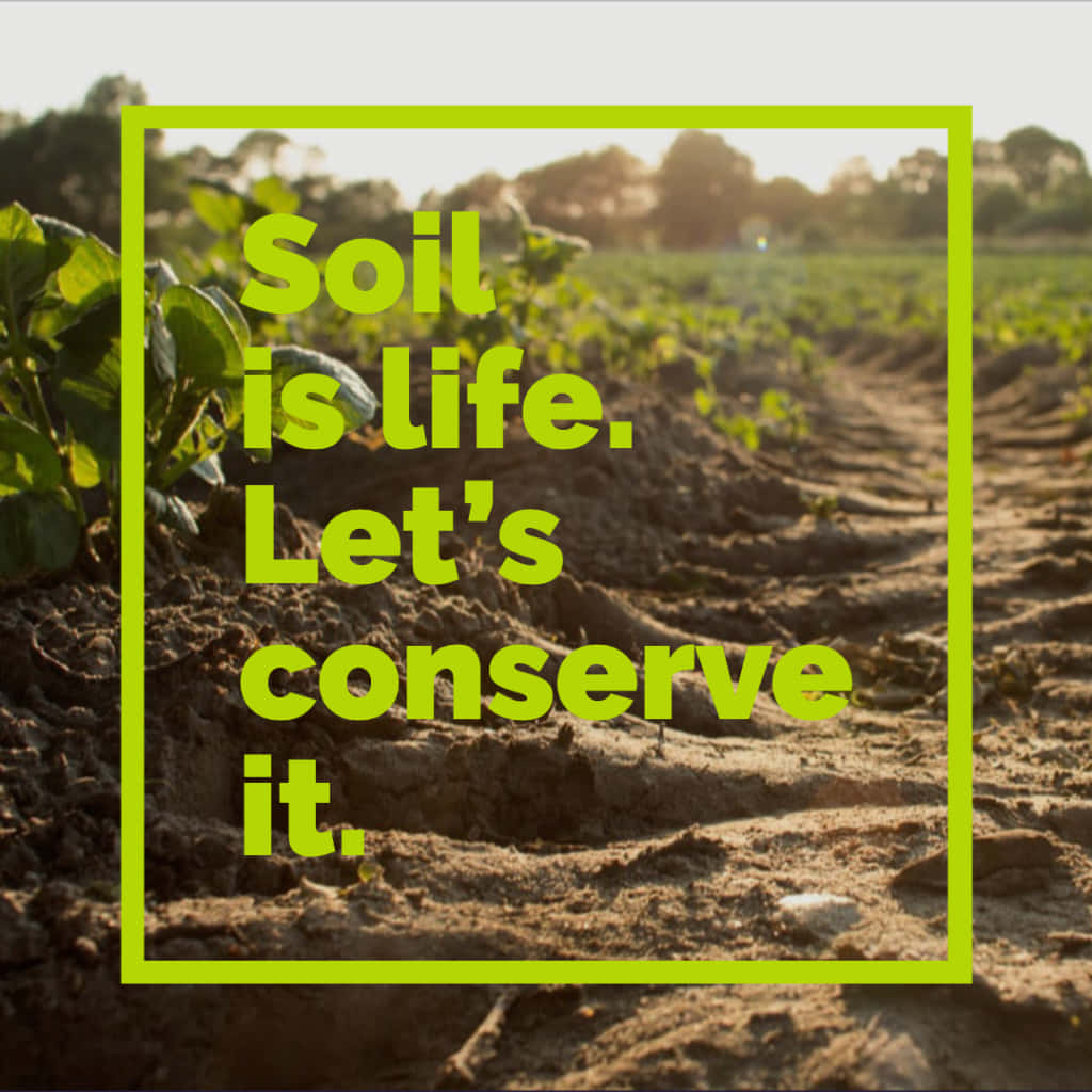 Soil is life. Let's conserve it, lime-green text overlay, rich brown soil, SD Desktop Wallpaper