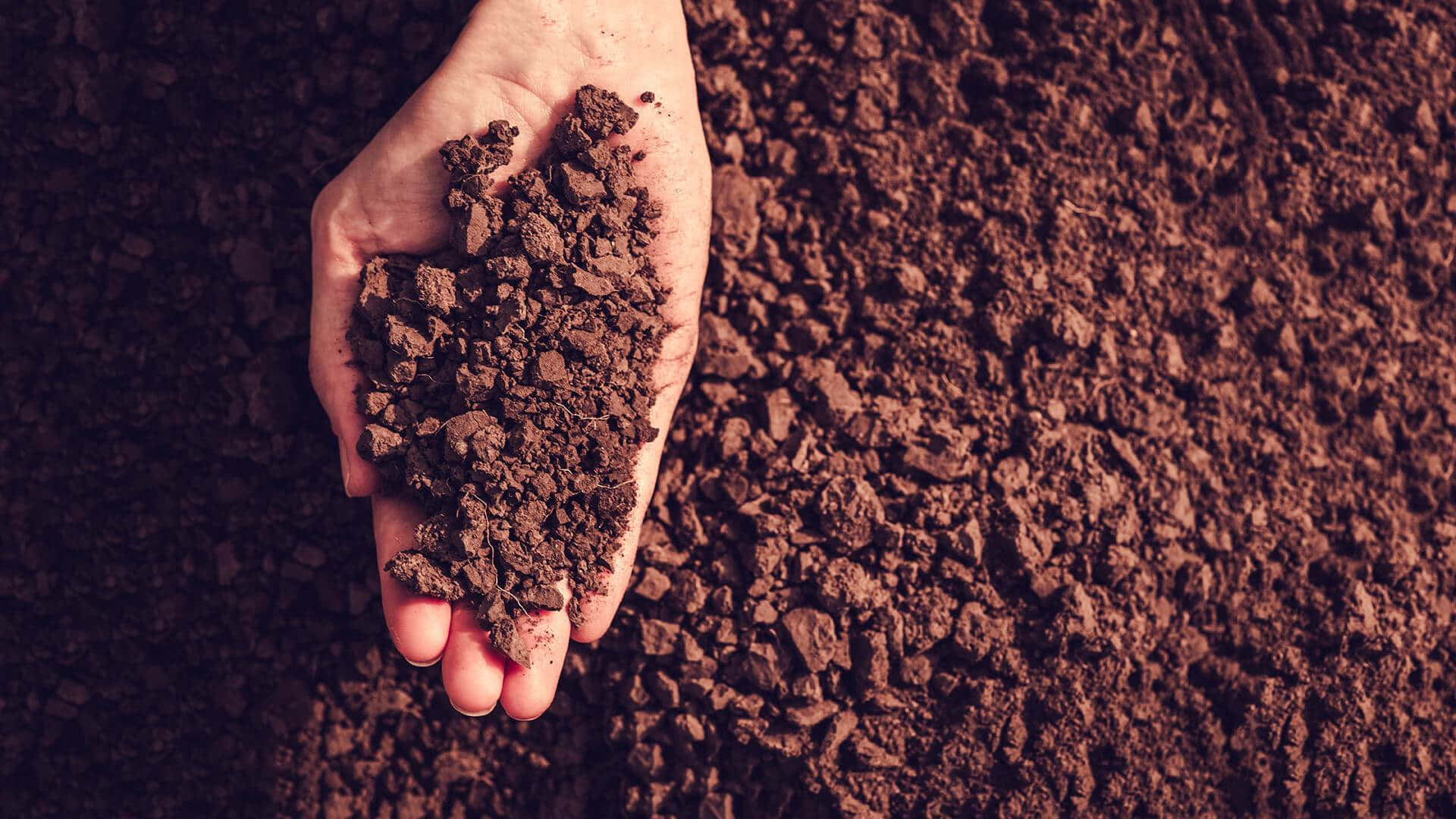 farmer, soil, dark soil, Full HD Desktop Wallpaper