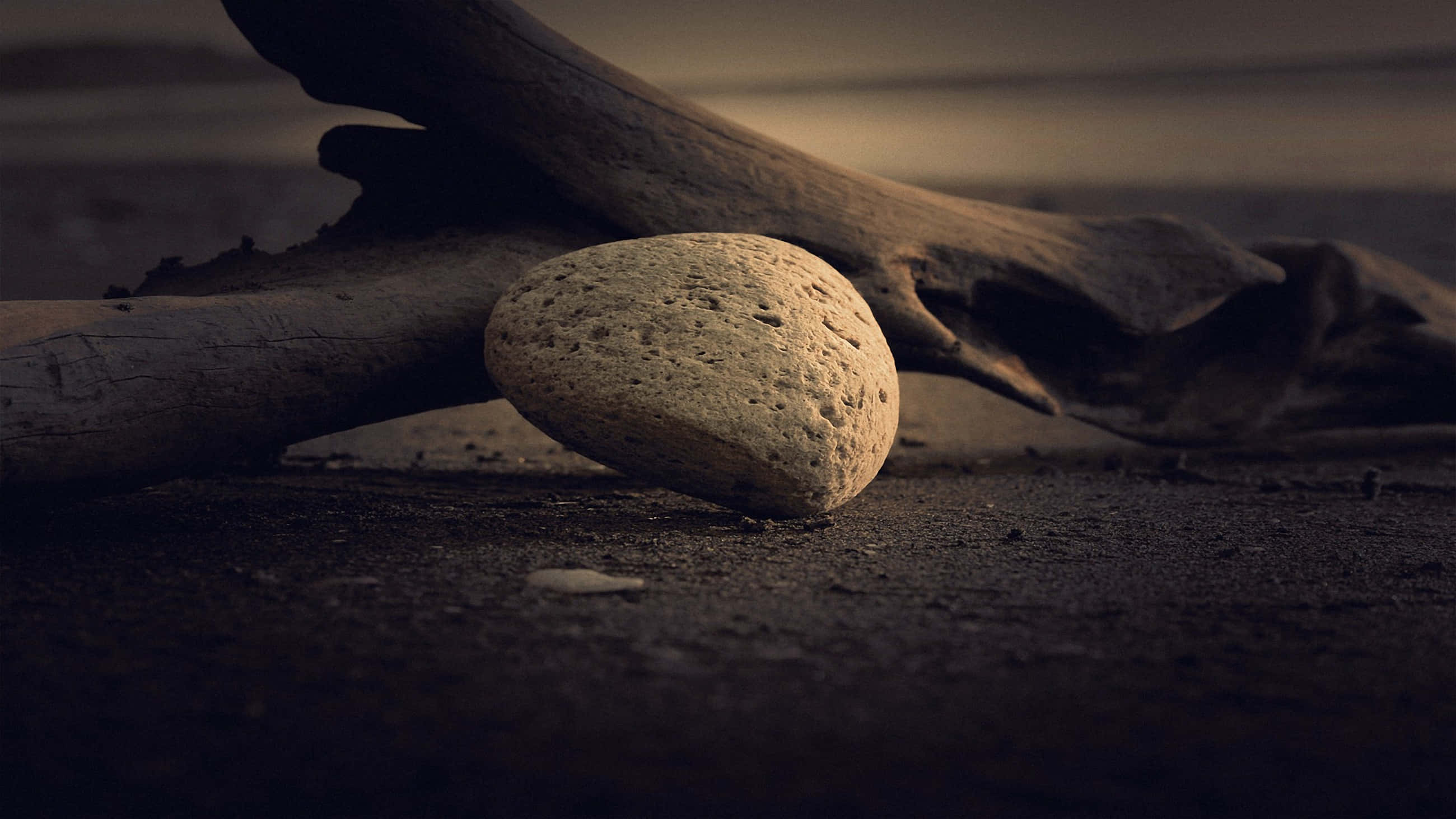 monochrome, dry soil, stone, 2K Desktop Wallpaper