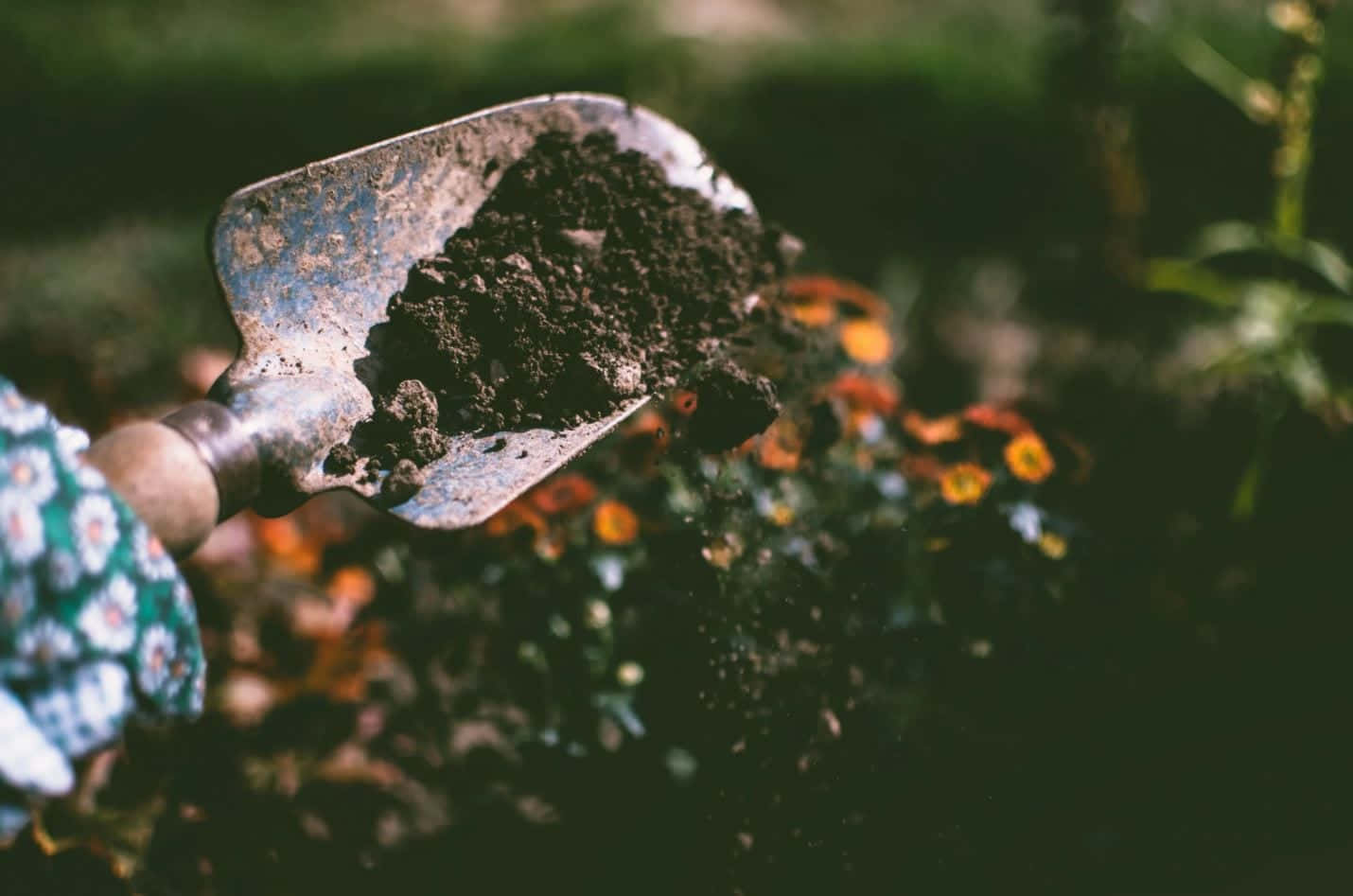 garden shovel, natural soil, dark soil, HD Desktop Wallpaper