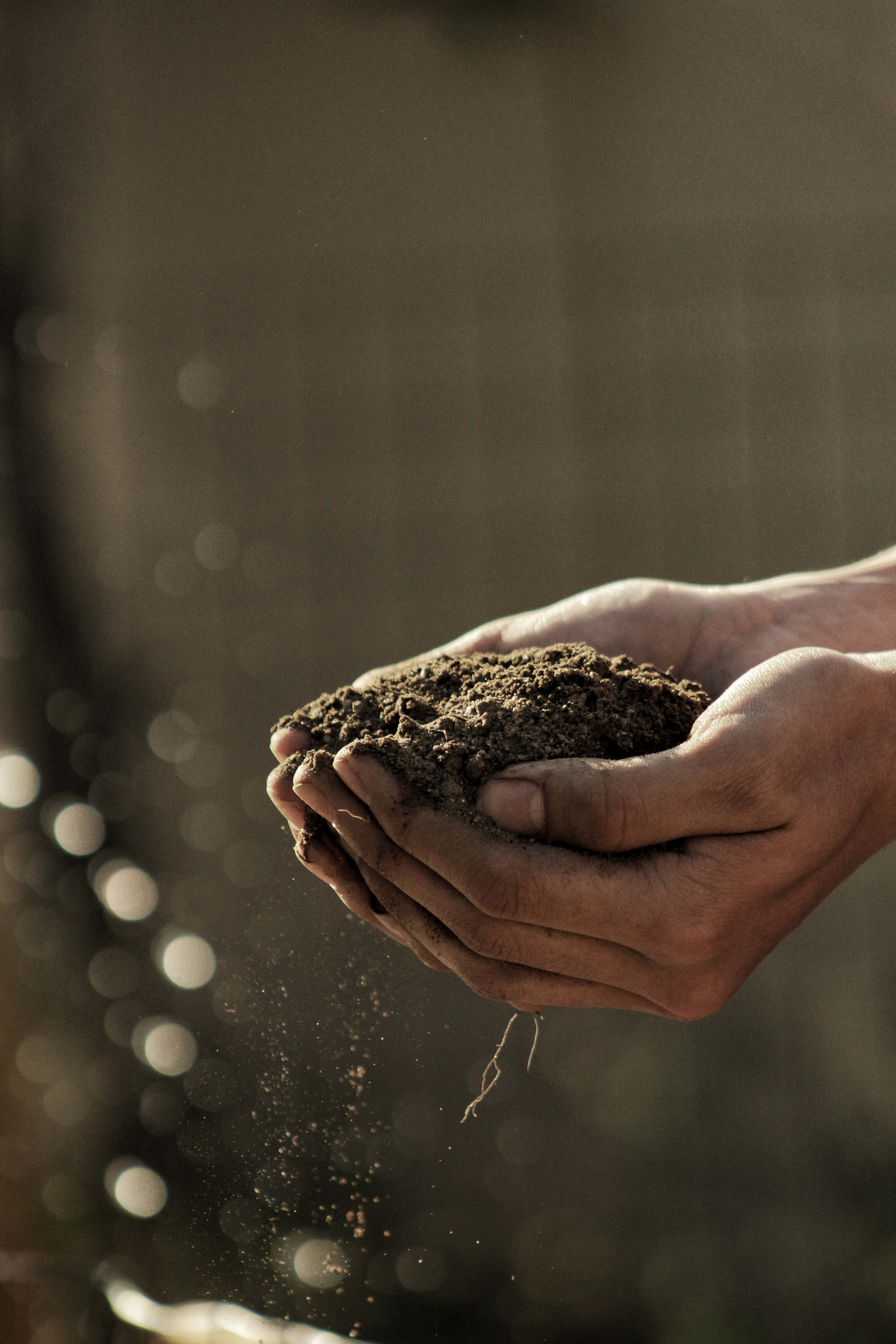 hands, natural earth soil, rich dark soil, 5K Phone Wallpaper