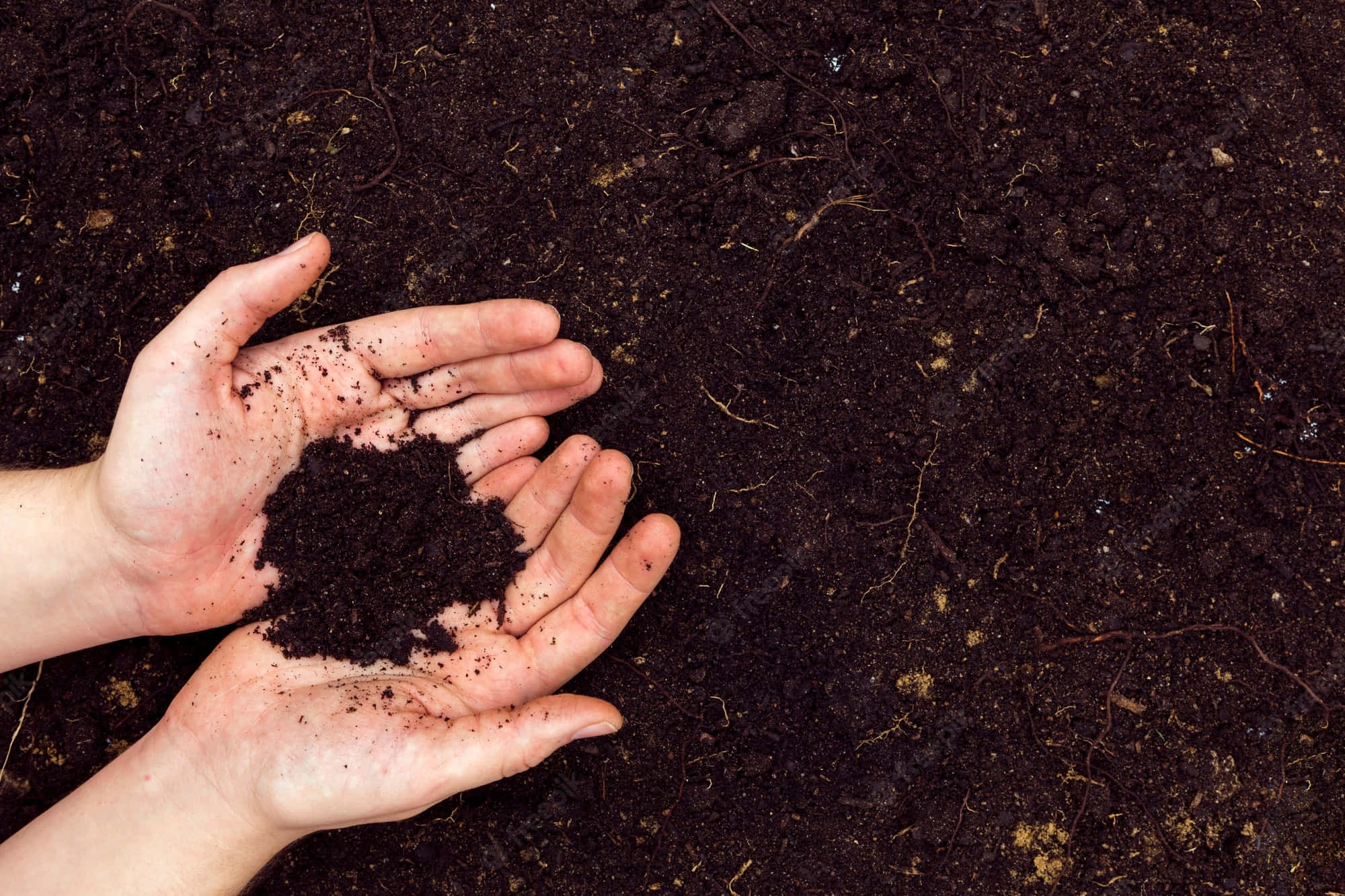 soil, dark soil, earthy ground, Full HD Desktop Wallpaper