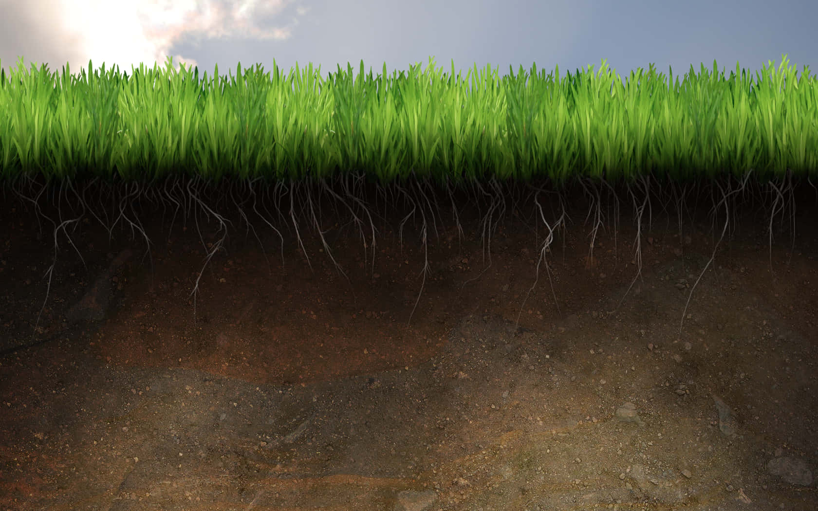 grass, soil, green grass blades, HD Desktop Wallpaper