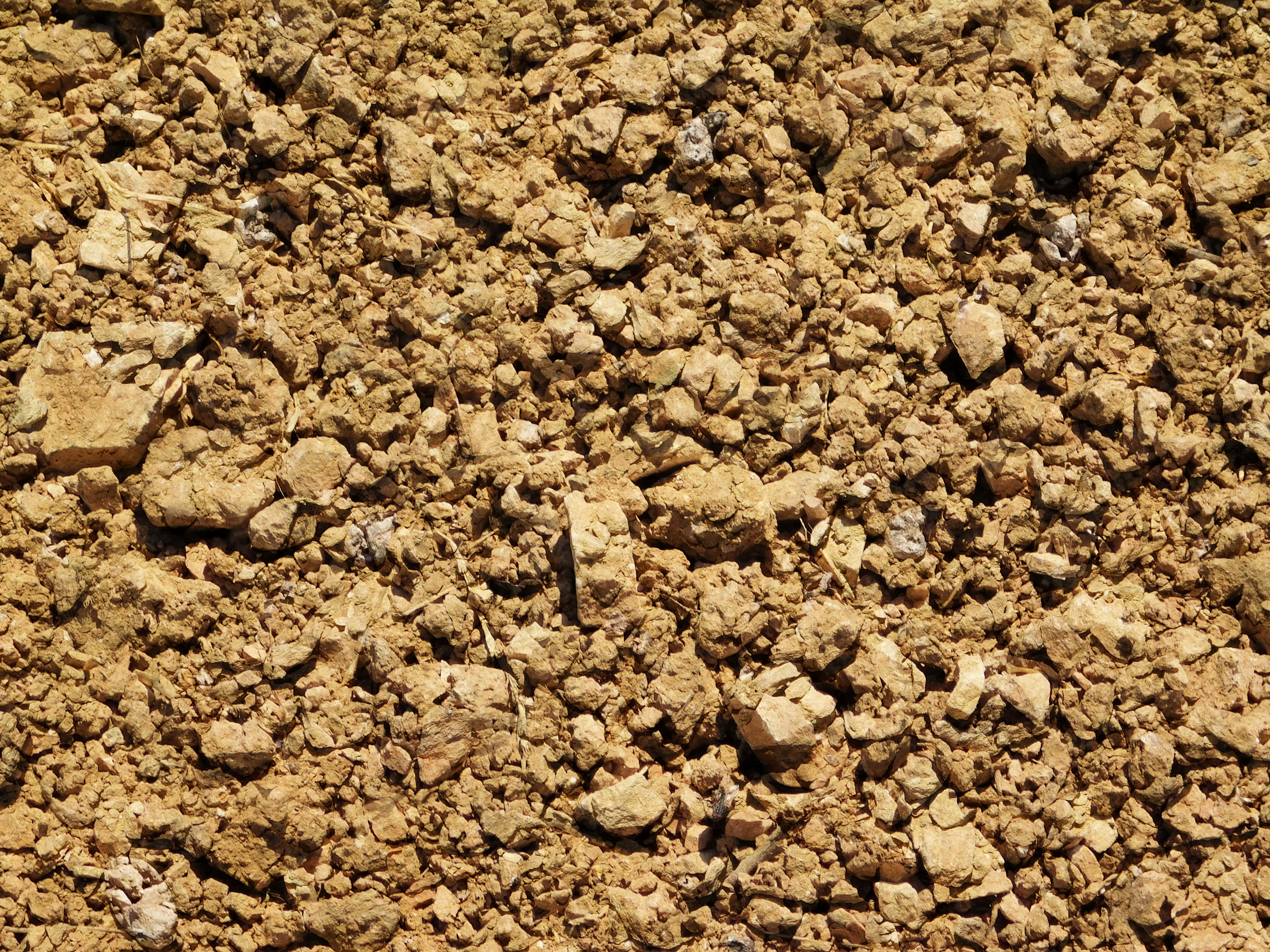earth texture, sunlit dry cracked earth, rough textured clumps, 4K Desktop Wallpaper