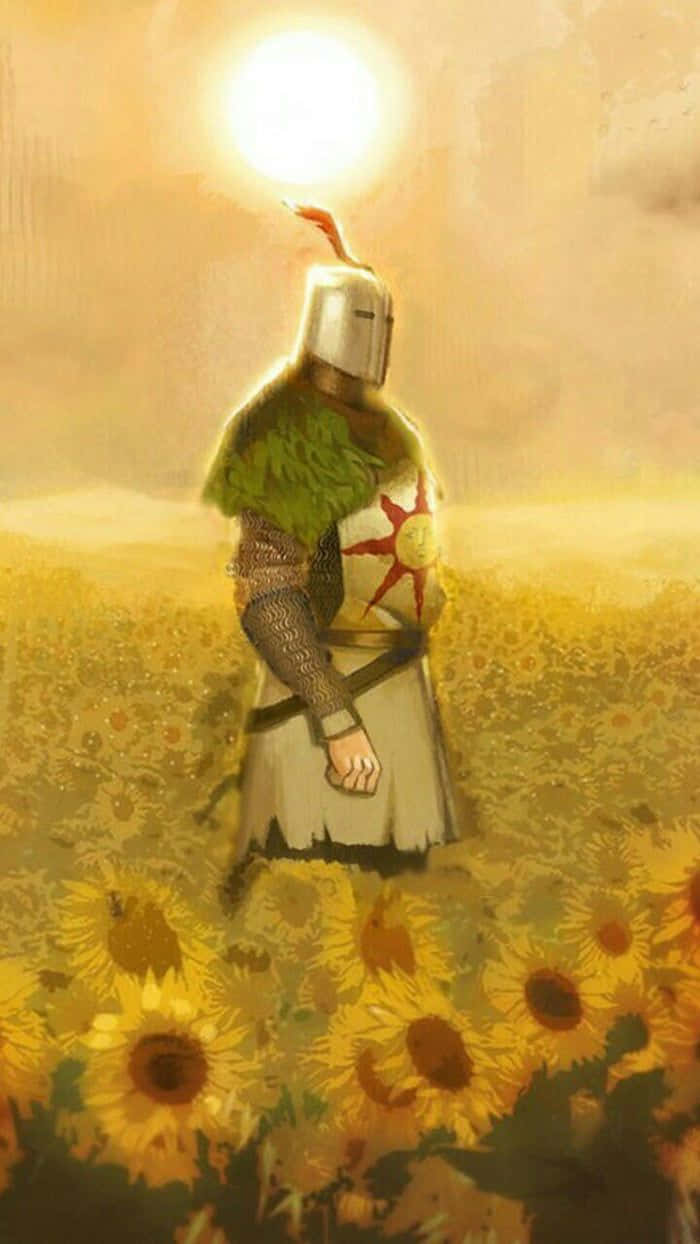 Solaire of Astora, golden sunflower field, radiant sun, SD Phone Wallpaper