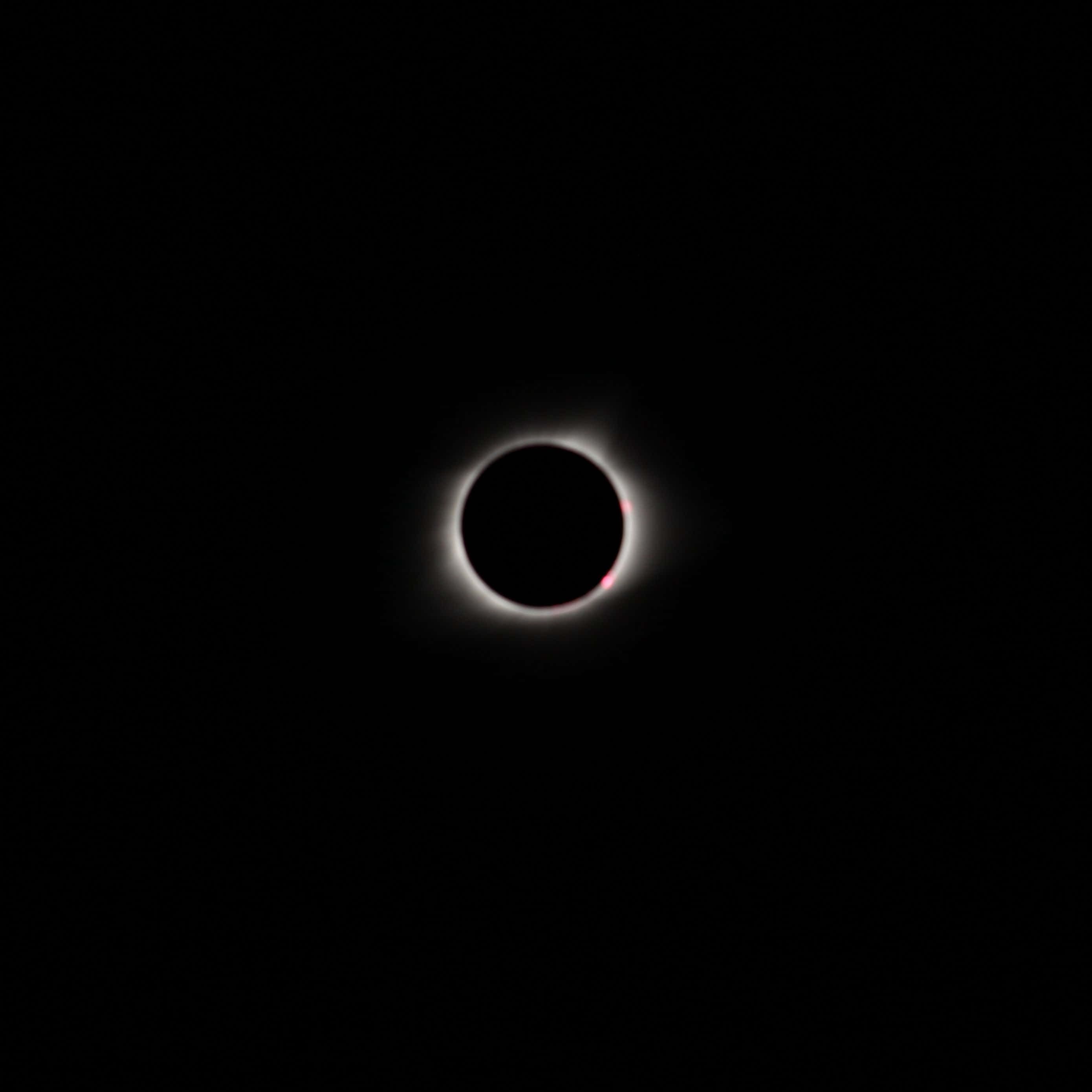 Solar Eclipse, glowing white corona, faint pinkish hue, 2K Desktop Wallpaper