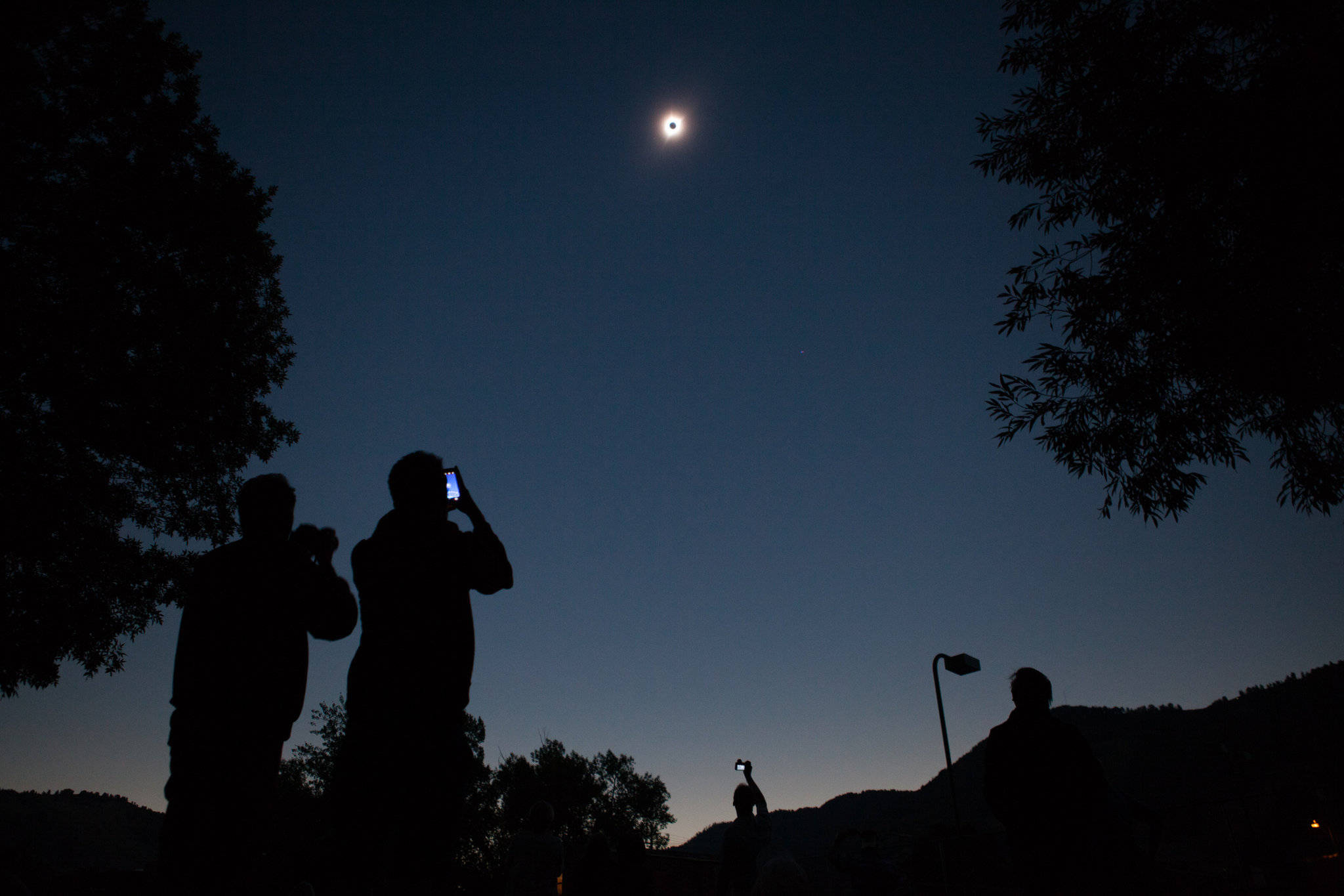 Night-Like Solar Eclipse, twilight sky, trees, Full HD Desktop Wallpaper