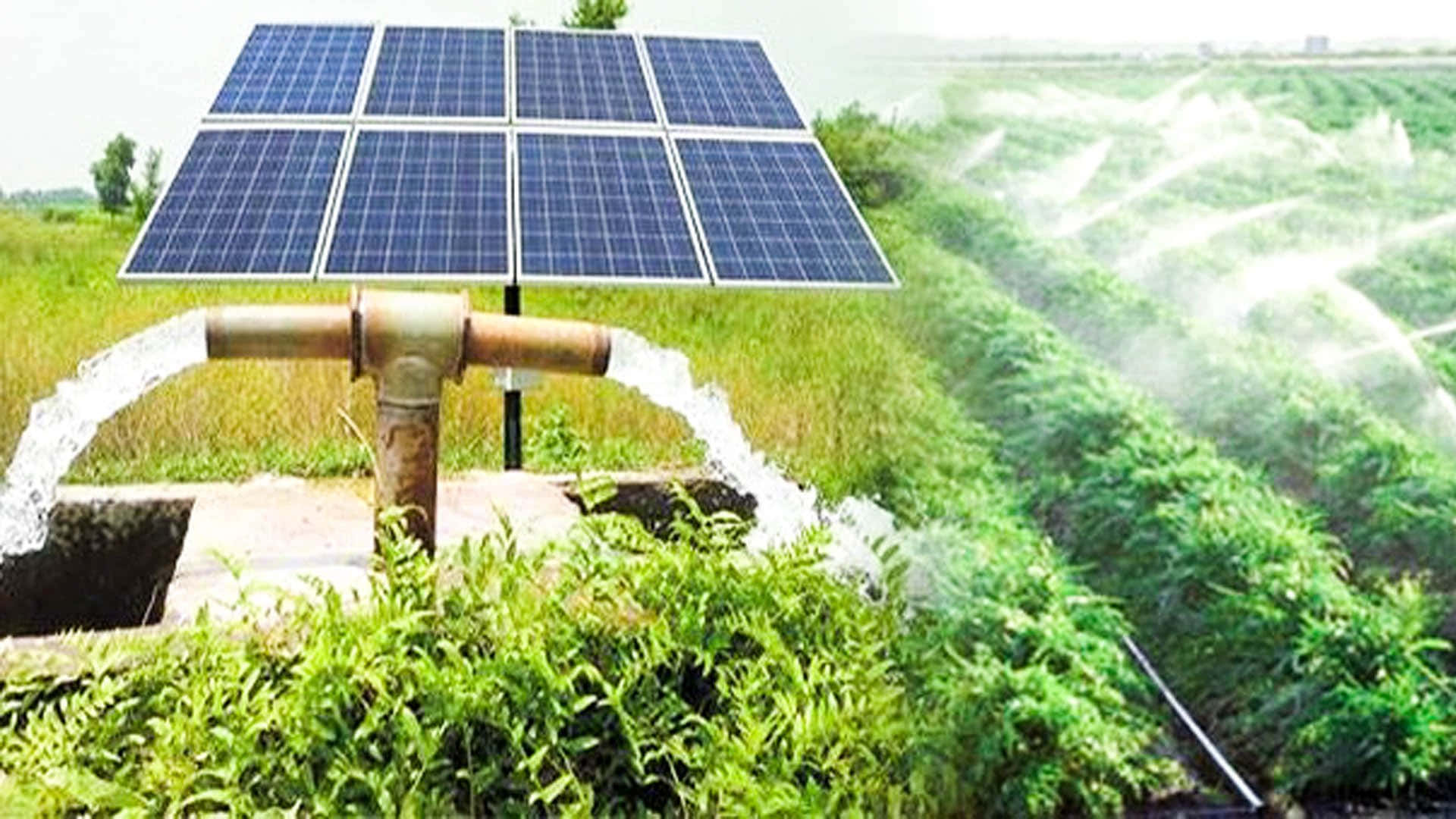 solar panel, irrigation systems, lush green crops, Full HD Desktop Wallpaper