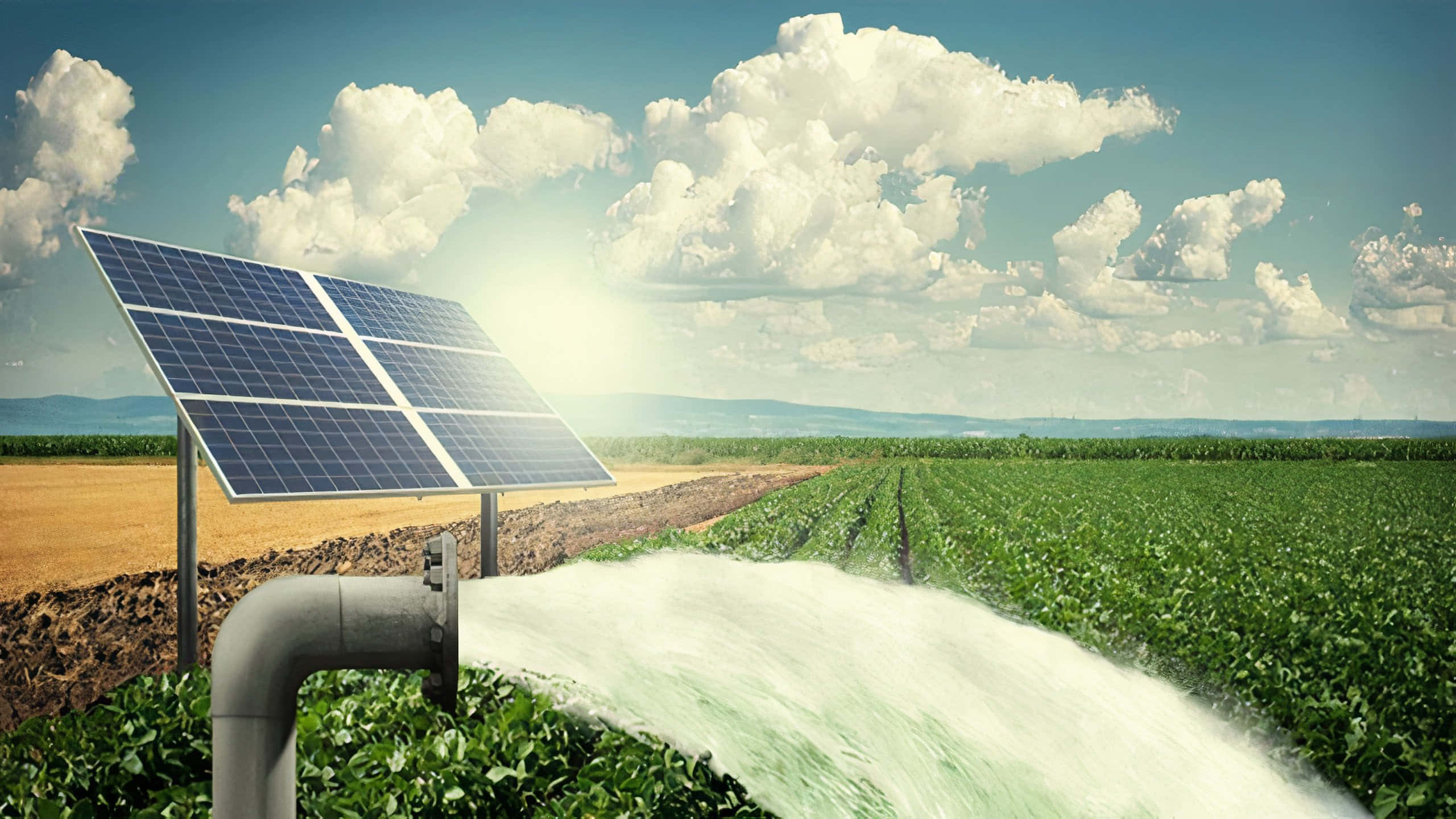 solar panel, rice field, lush green field, 2K Desktop Wallpaper