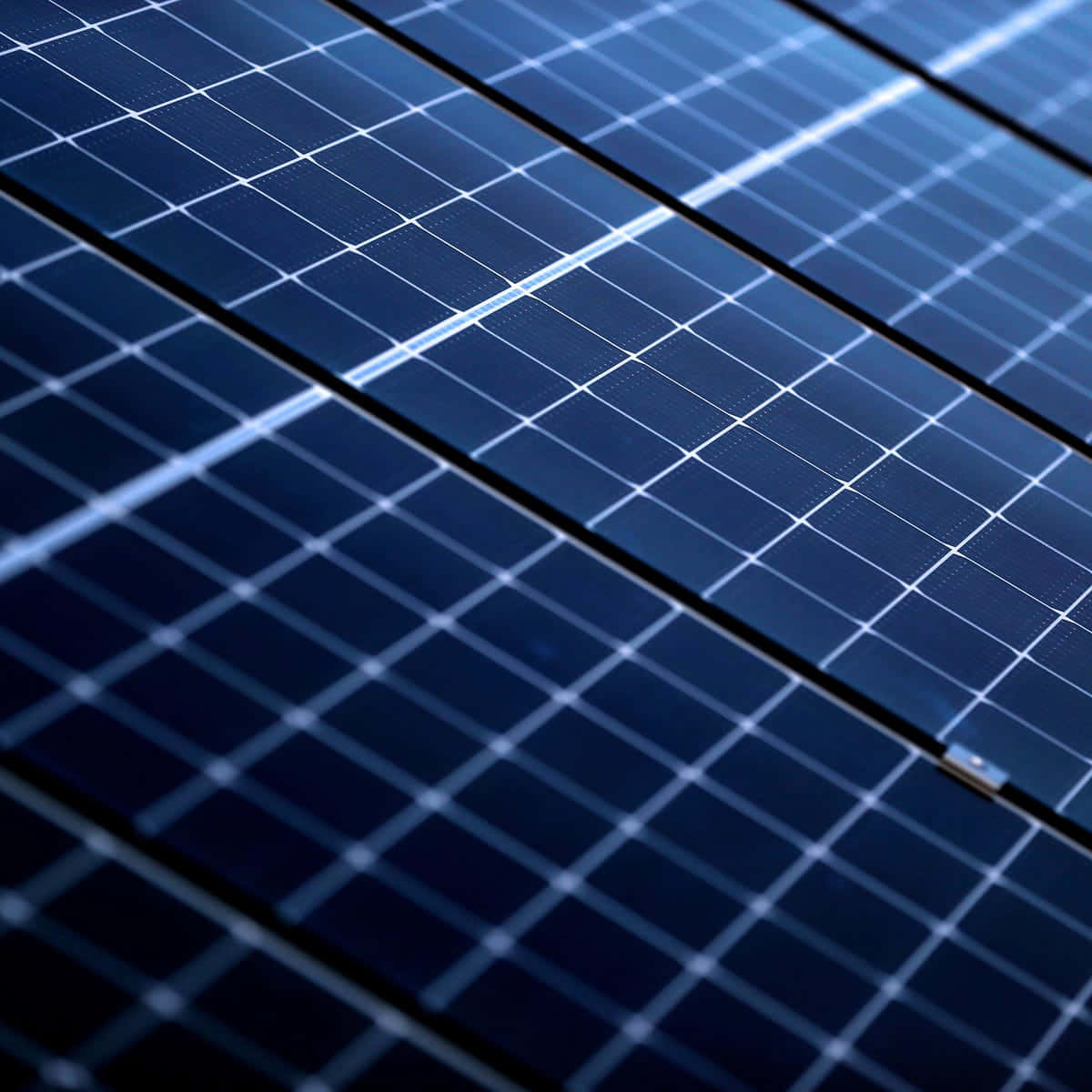 dark blue, white grid lines, angled diagonally, SD Desktop Wallpaper