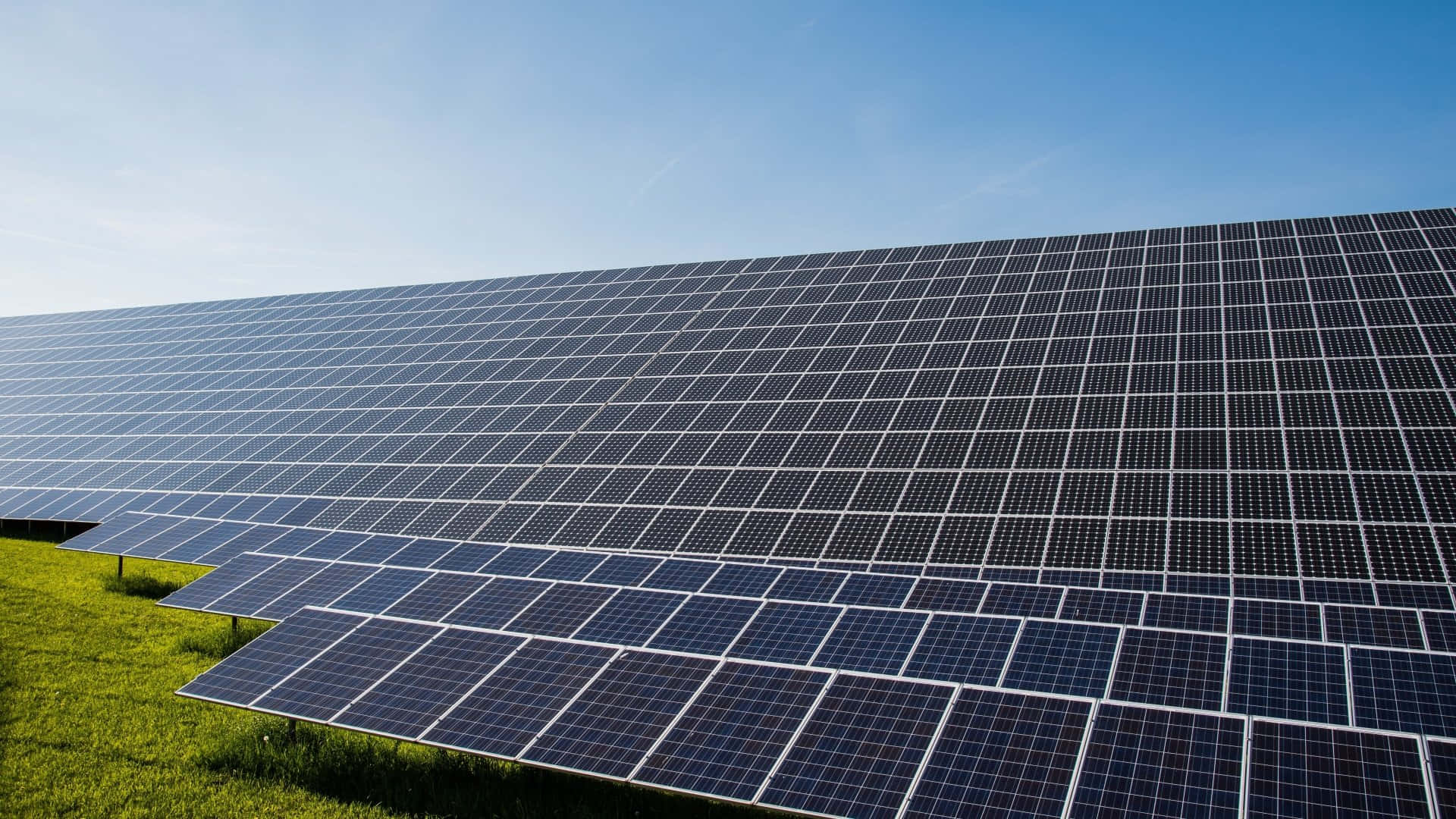 polycrystalline solar panel system, rows, grassy field, Full HD Desktop Wallpaper