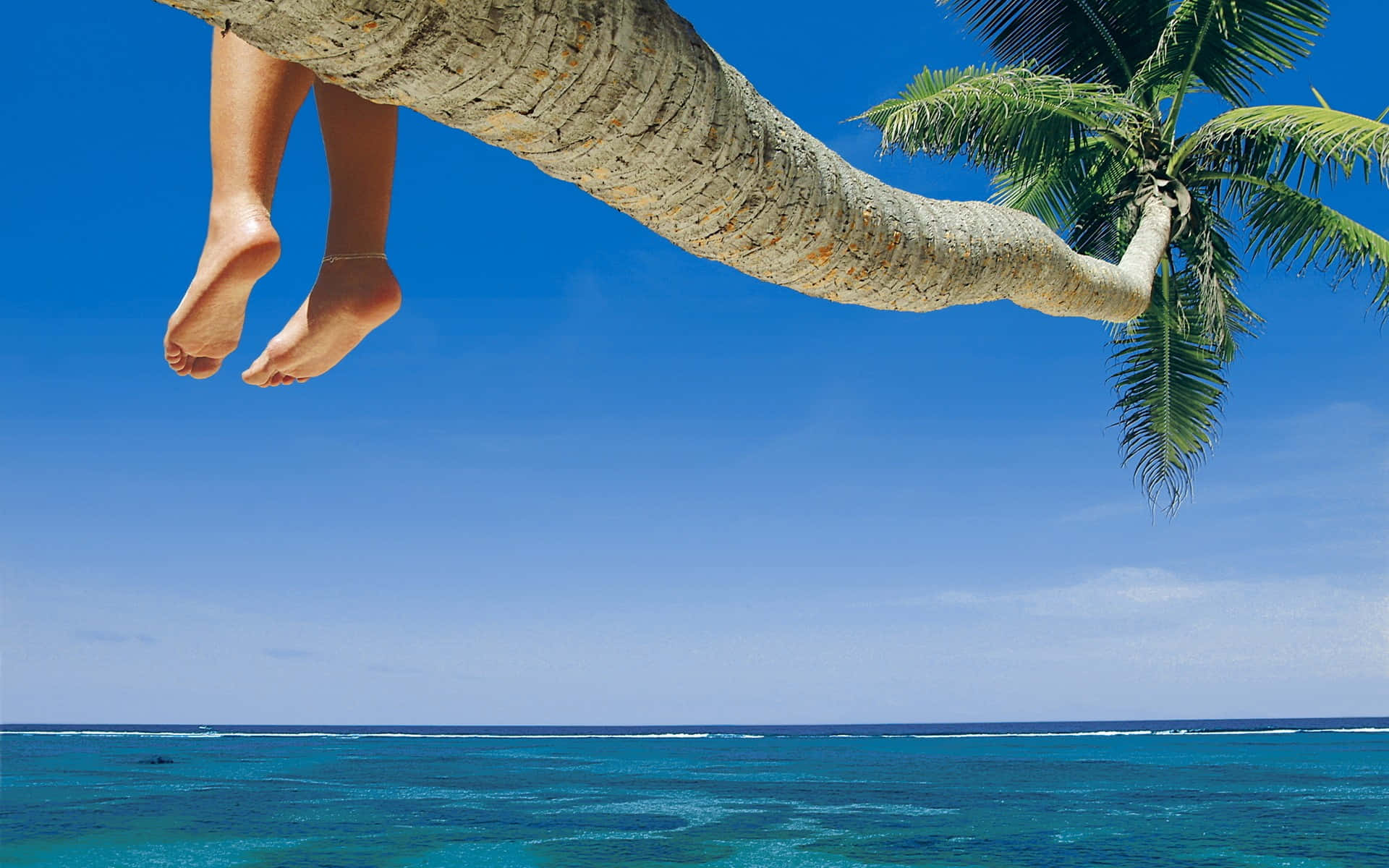 foot sole, tropical beach, curved palm tree branch, Full HD Desktop Wallpaper