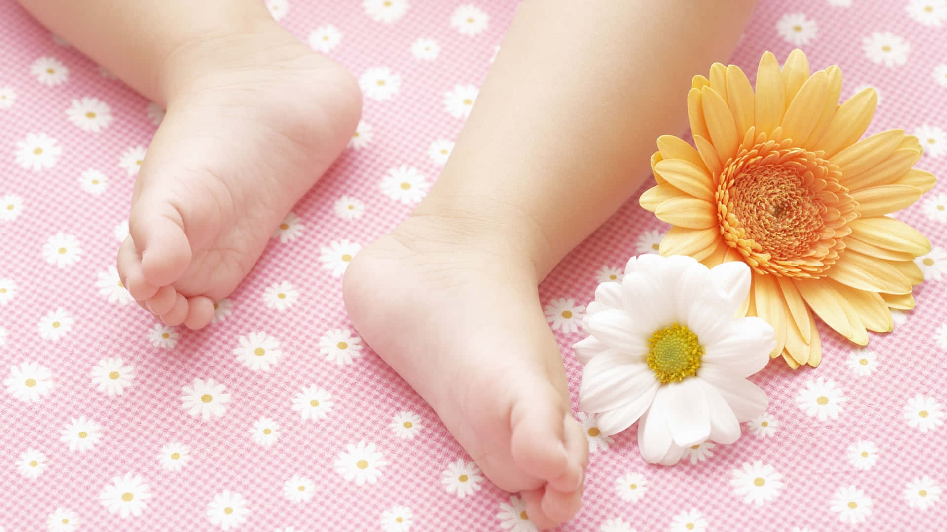baby's clean foot sole, vibrant yellow, white daisies, Full HD Desktop Wallpaper