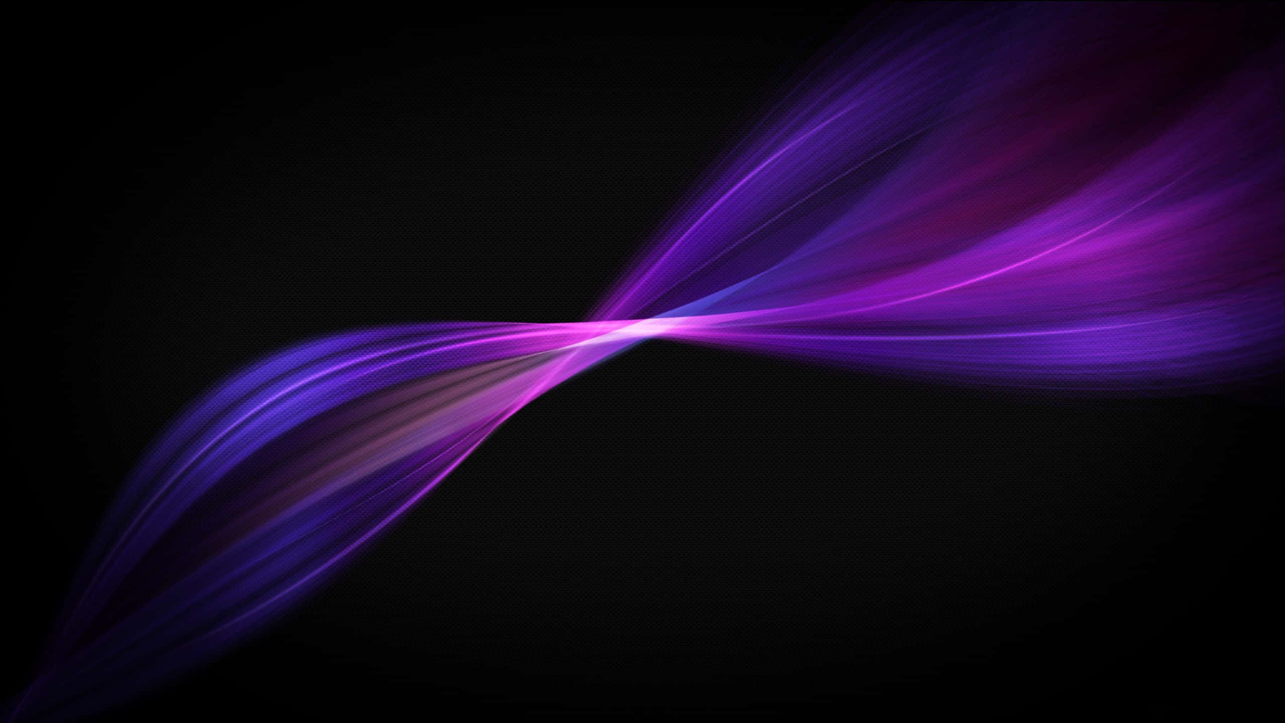 2560x1440, Solid Black, vibrant purple, 2K Desktop Wallpaper