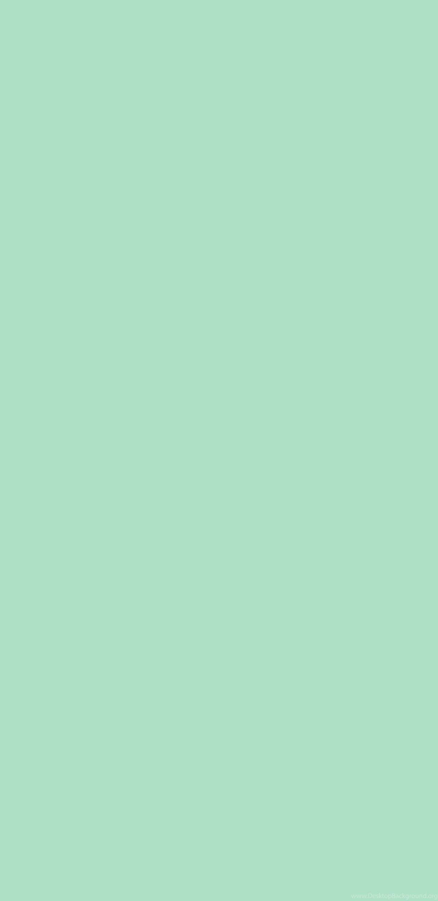 solid color phone, mint green, background, 2K Phone Wallpaper