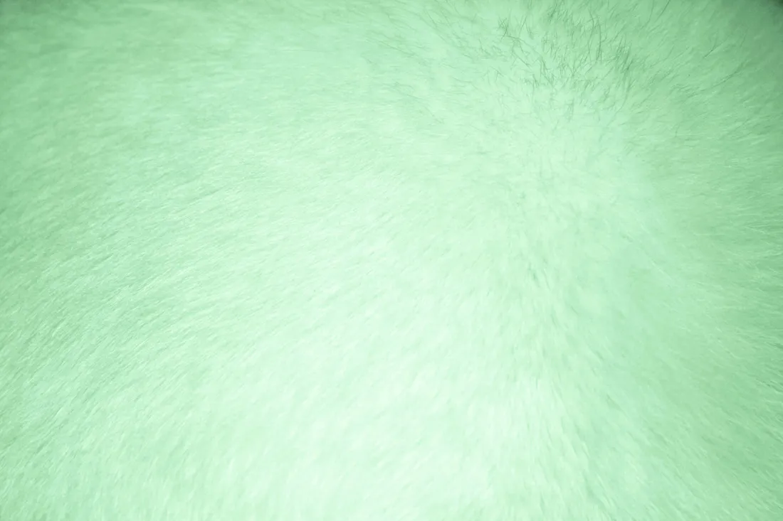 Solid Green