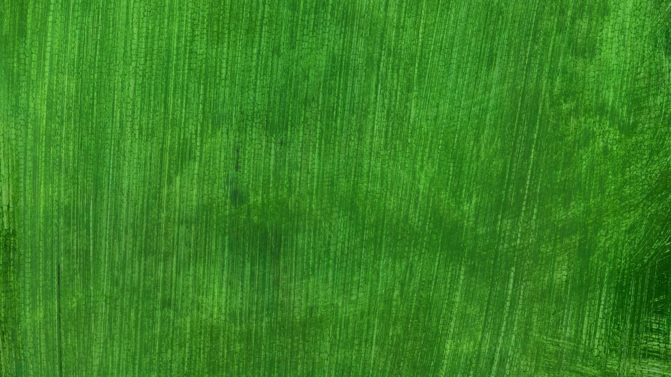 Solid Green, vibrant green, abstract texture, 2K Desktop Wallpaper