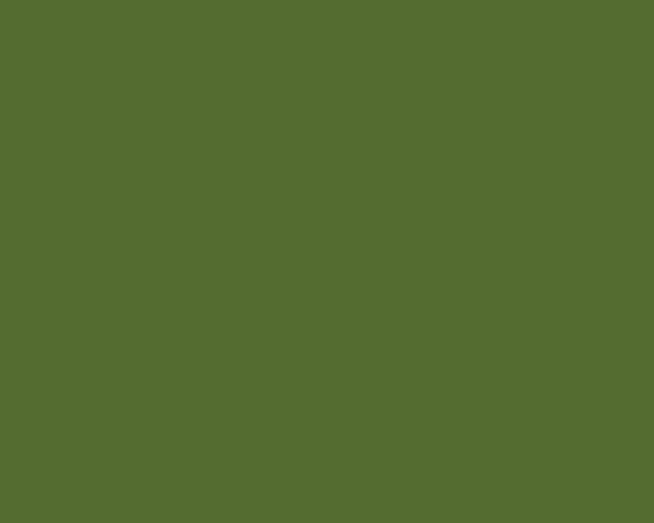 Solid Green, olive green, background, HD Desktop Wallpaper