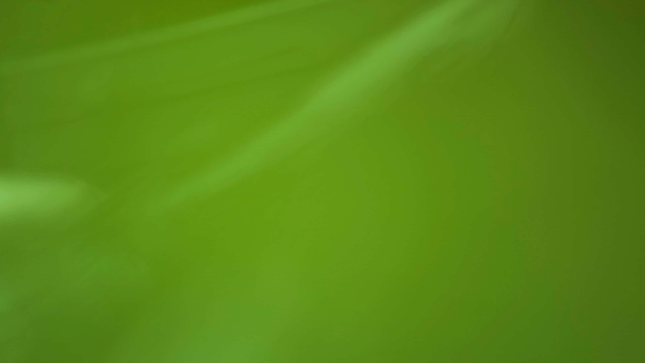 vibrant green, smooth gradient, soft light streaks, 2K Desktop Wallpaper