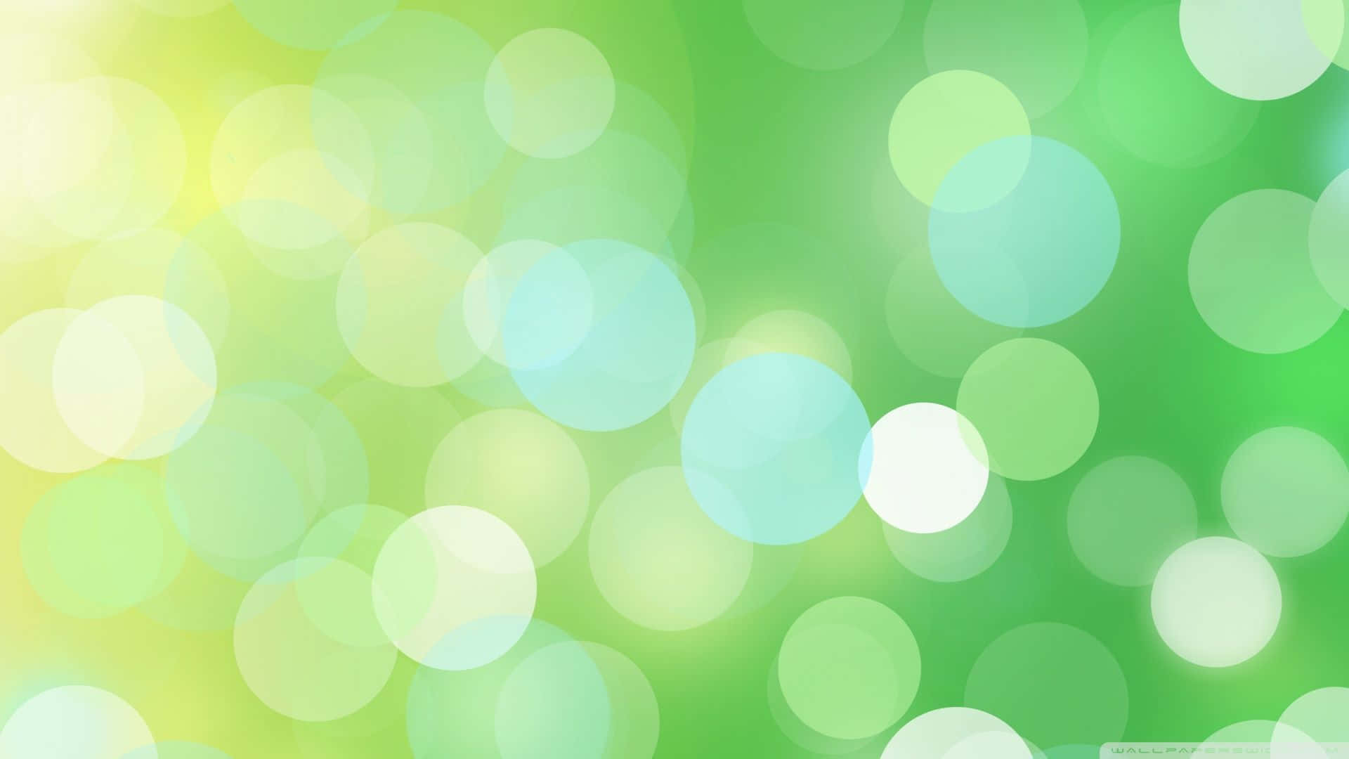 green, white, bokeh, Full HD Desktop Wallpaper