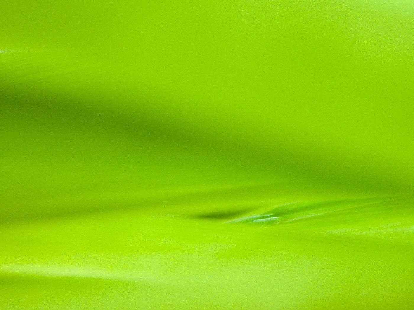 light green, lime green, abstract texture, HD Desktop Wallpaper