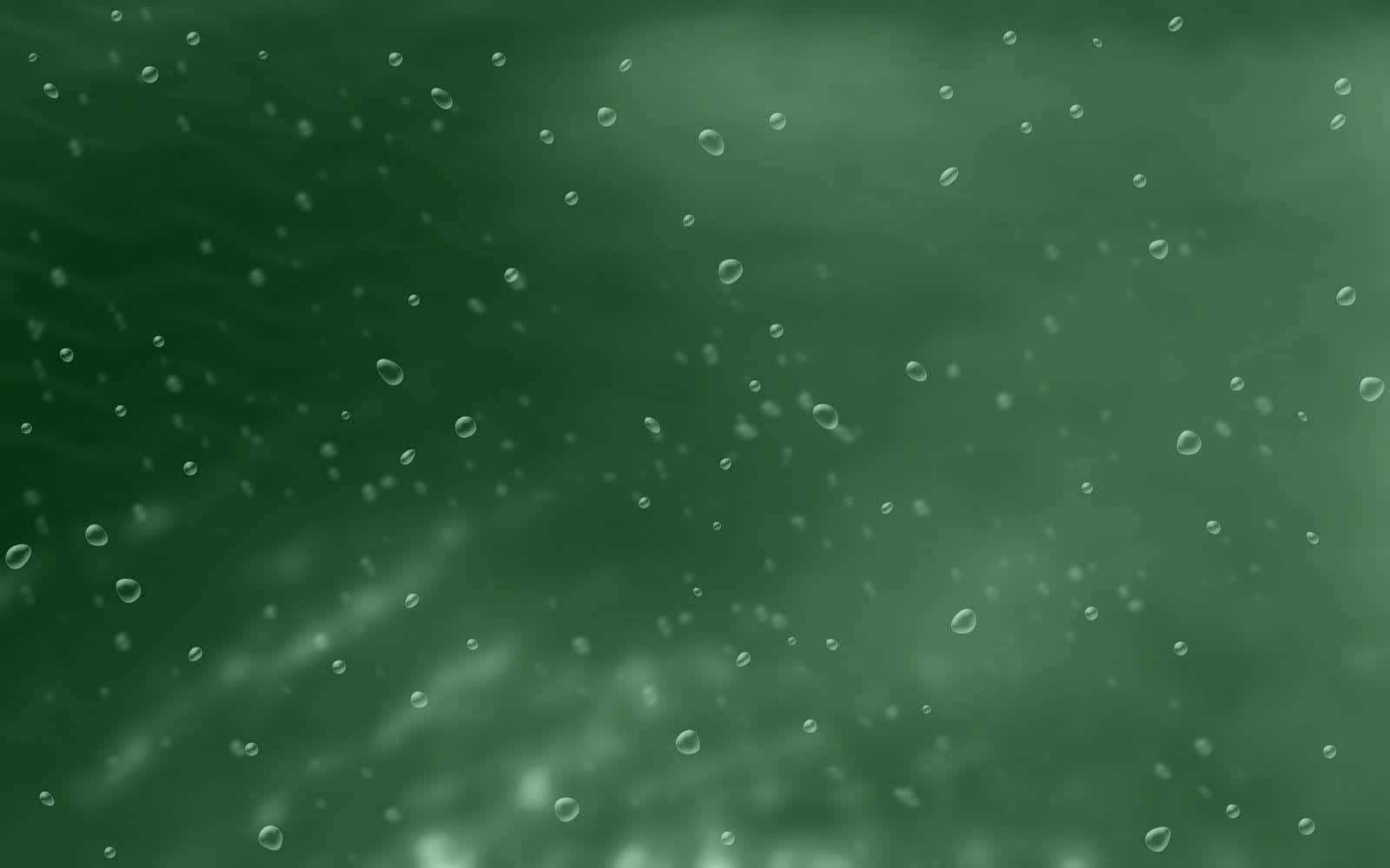 Solid Green, Tiny Bubbles, Green underwater scene, HD Desktop Wallpaper