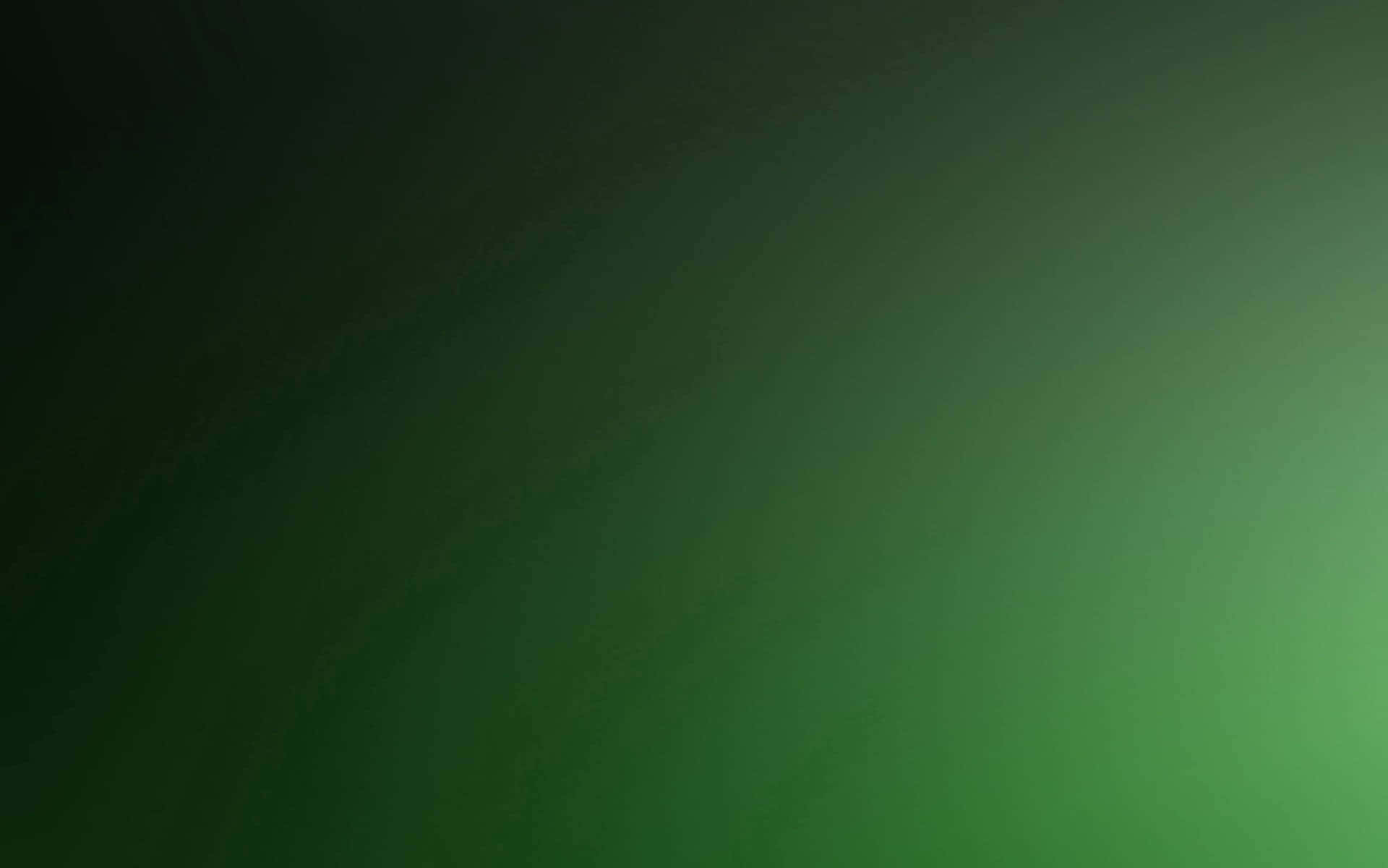 solid background green ombre color, deep to bright green, subtle texture, Full HD Desktop Wallpaper